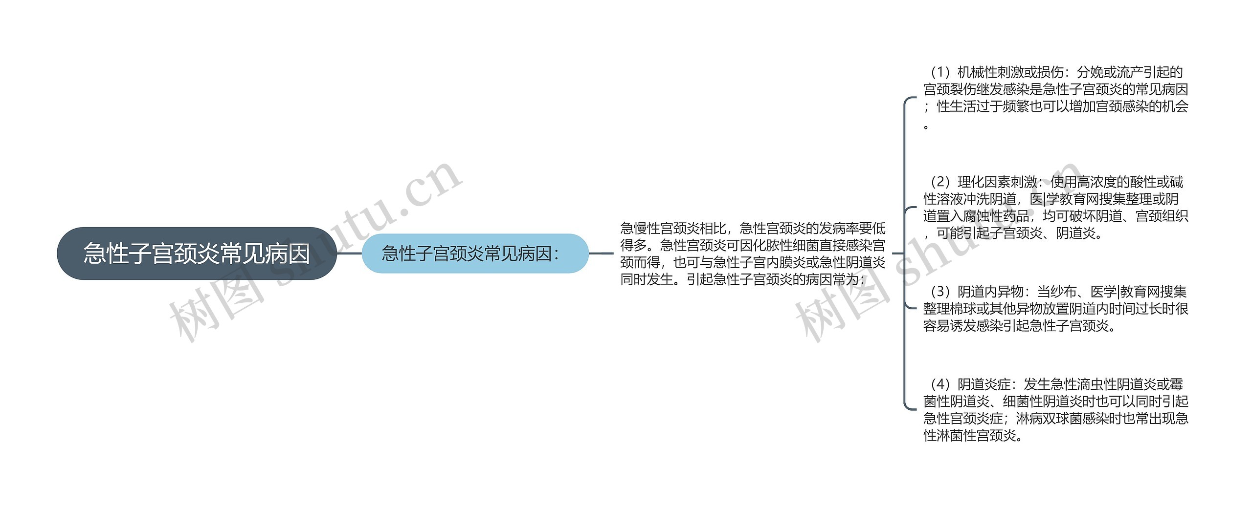 急性子宫颈炎常见病因