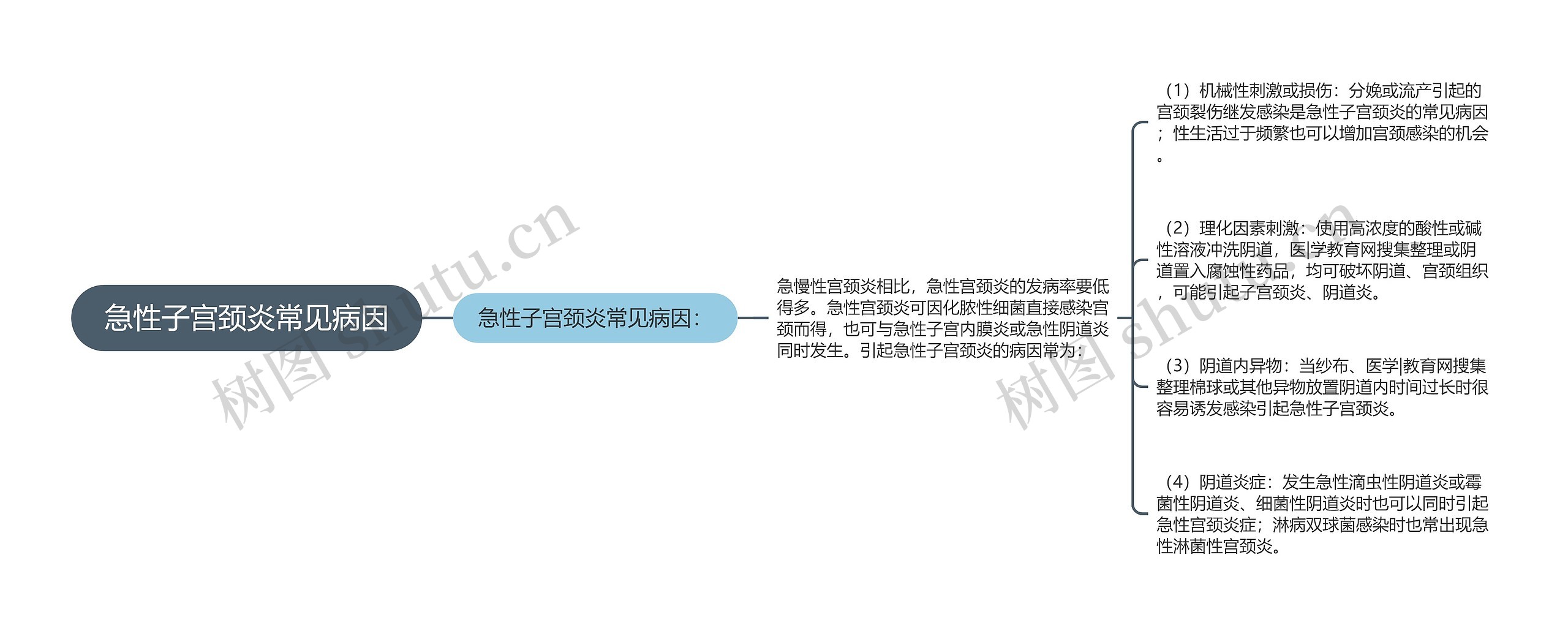 急性子宫颈炎常见病因思维导图