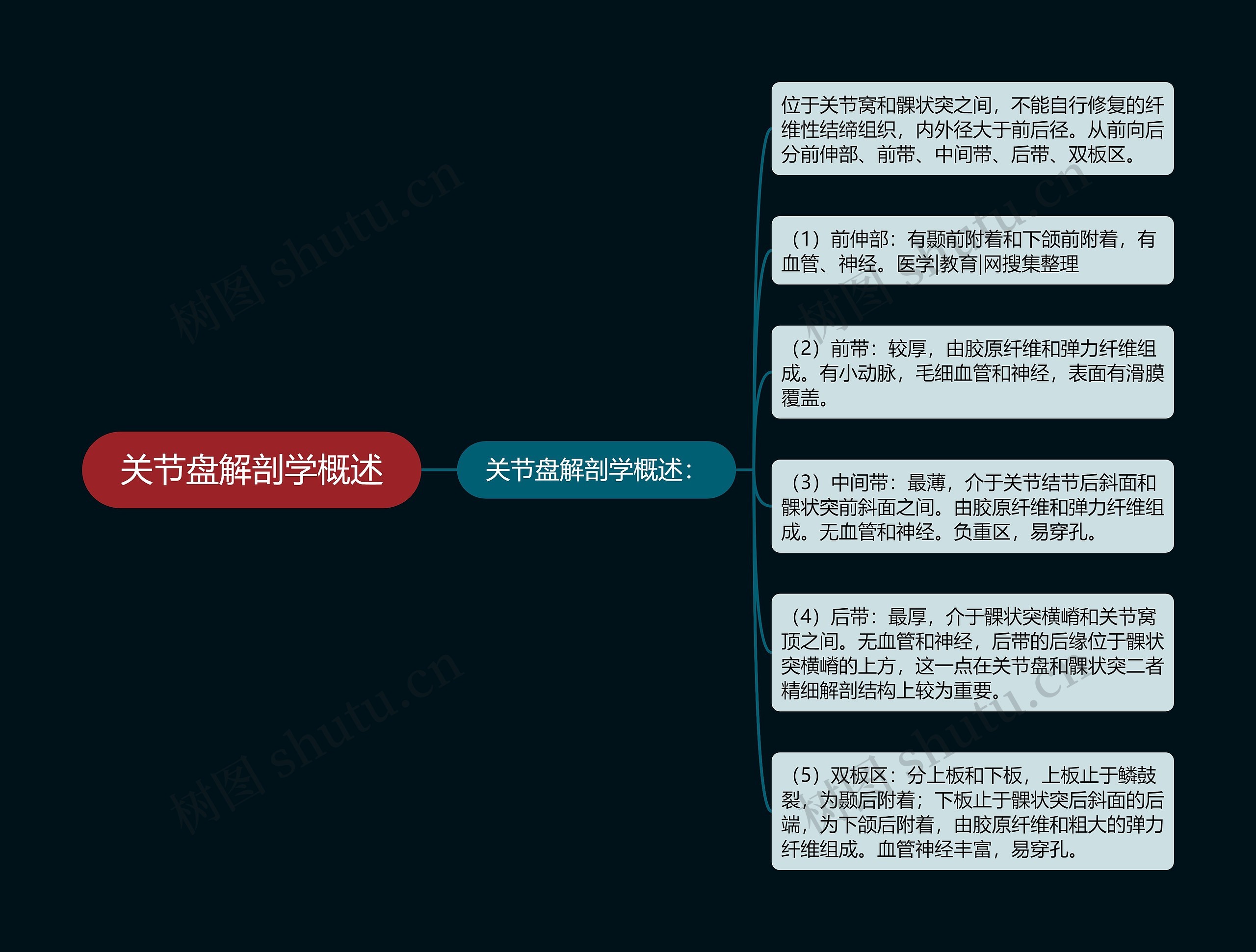 关节盘解剖学概述思维导图