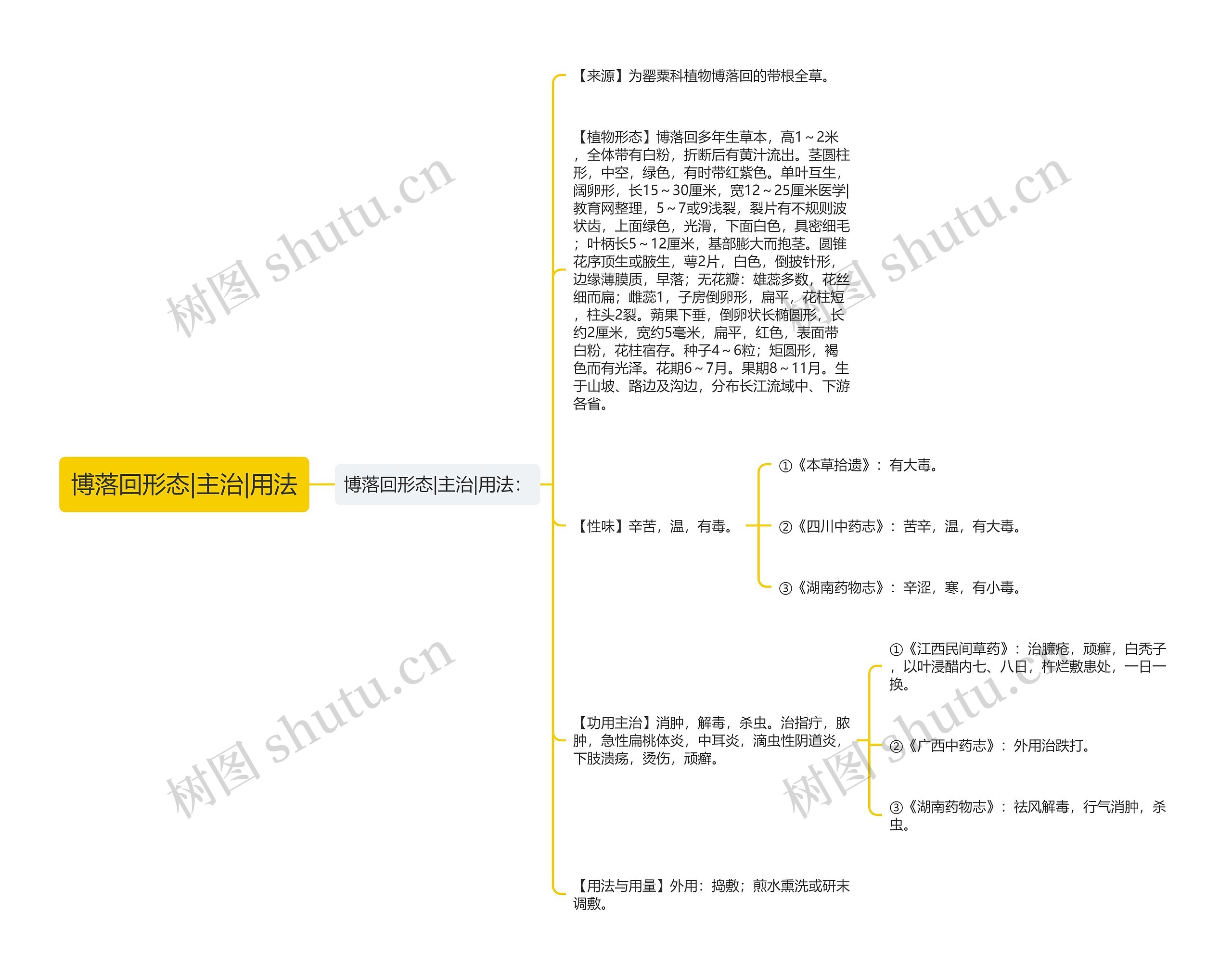 博落回形态|主治|用法思维导图