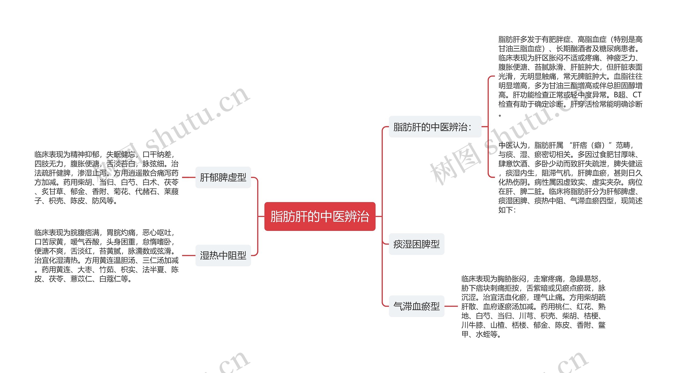 脂肪肝的中医辨治 脂肪肝的中医辨治
