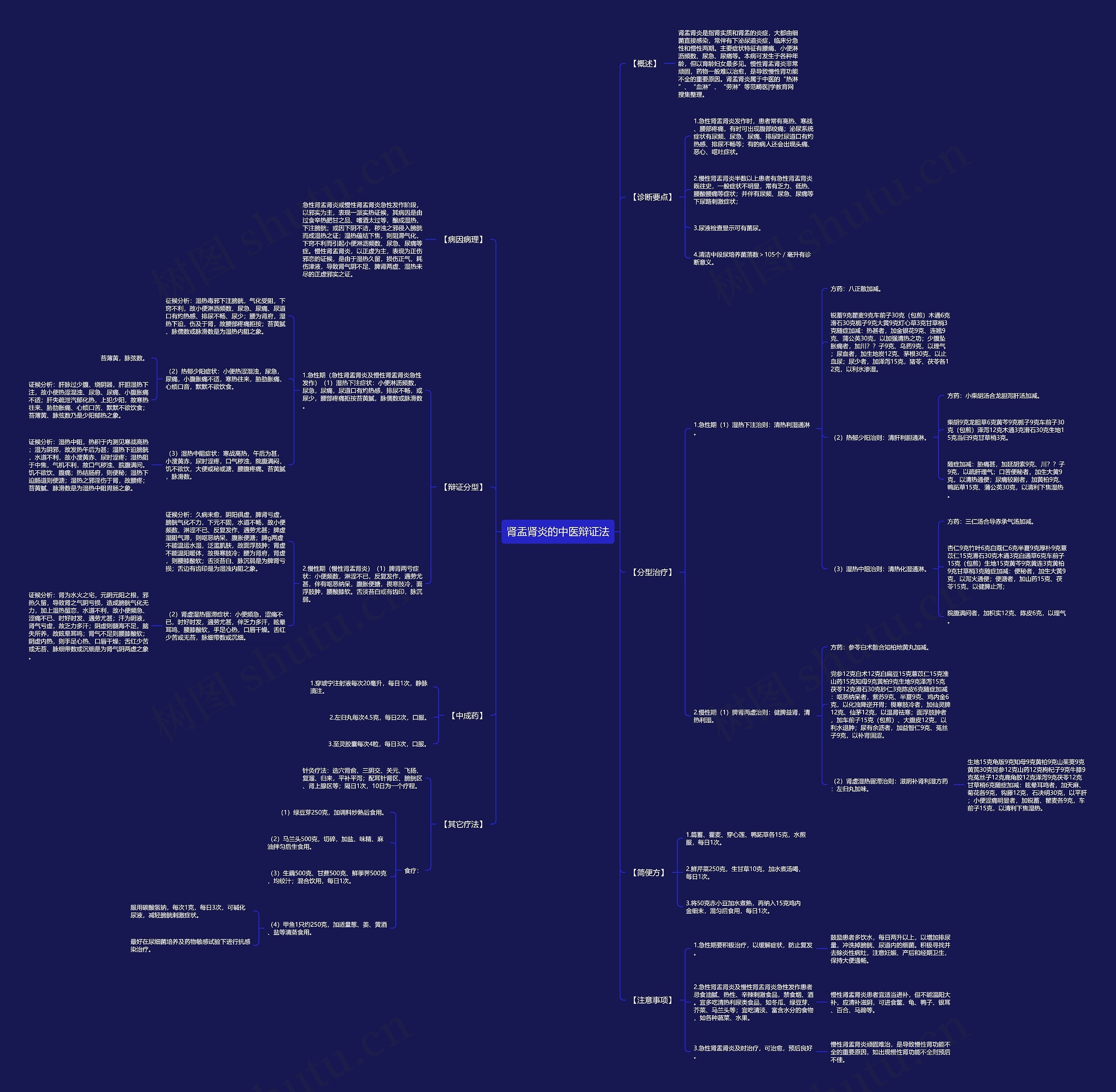 肾盂肾炎的中医辩证法思维导图