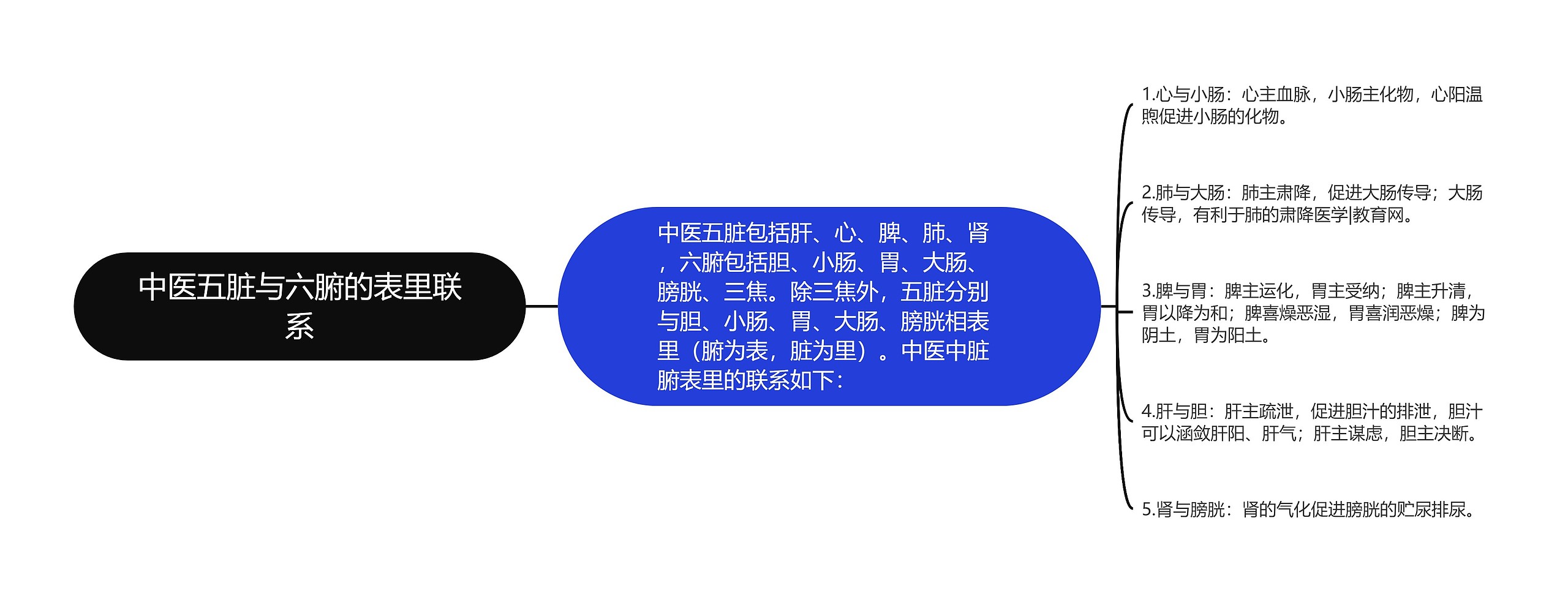 中医五脏与六腑的表里联系 中医五脏与六腑的表里联系