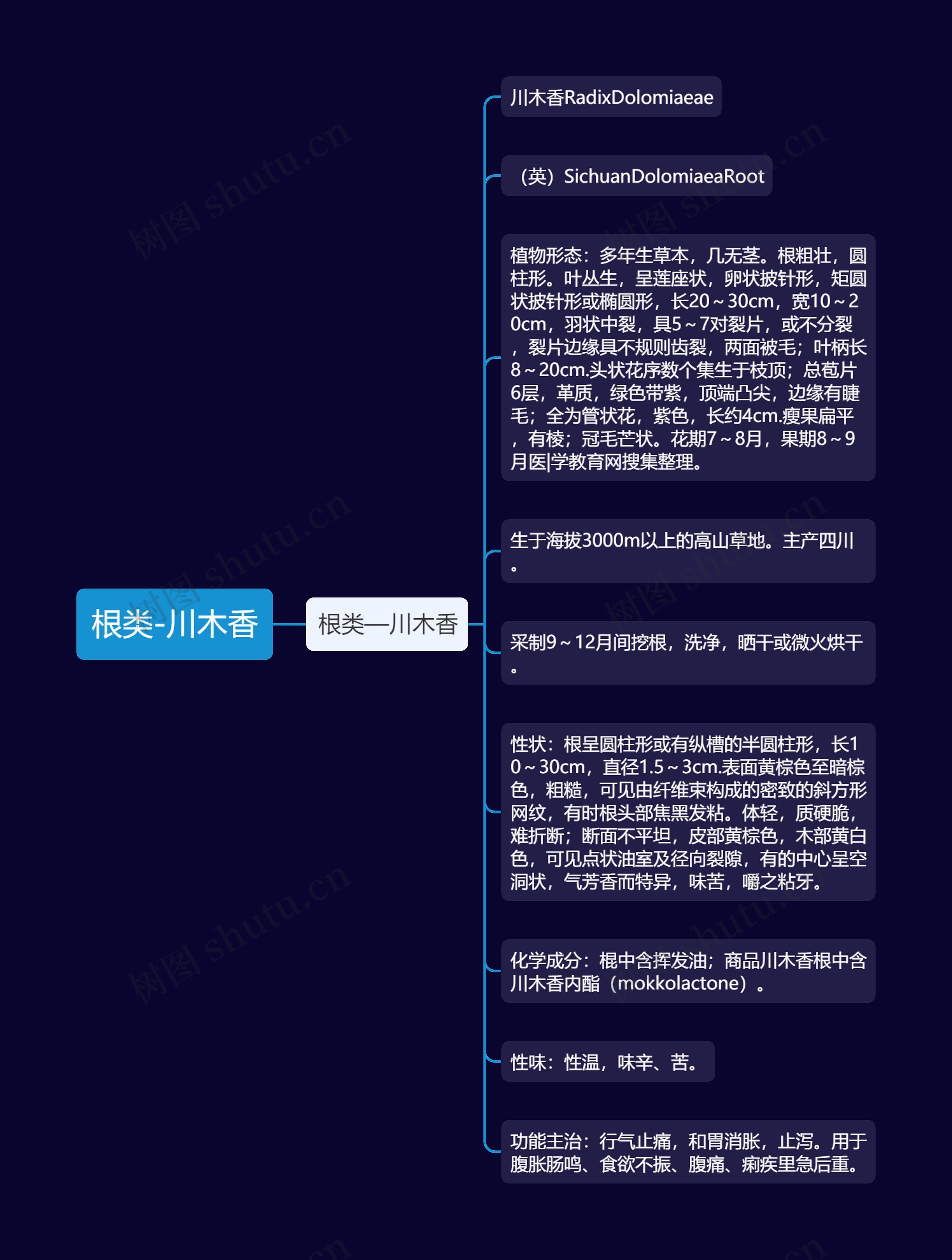 根类-川木香思维导图