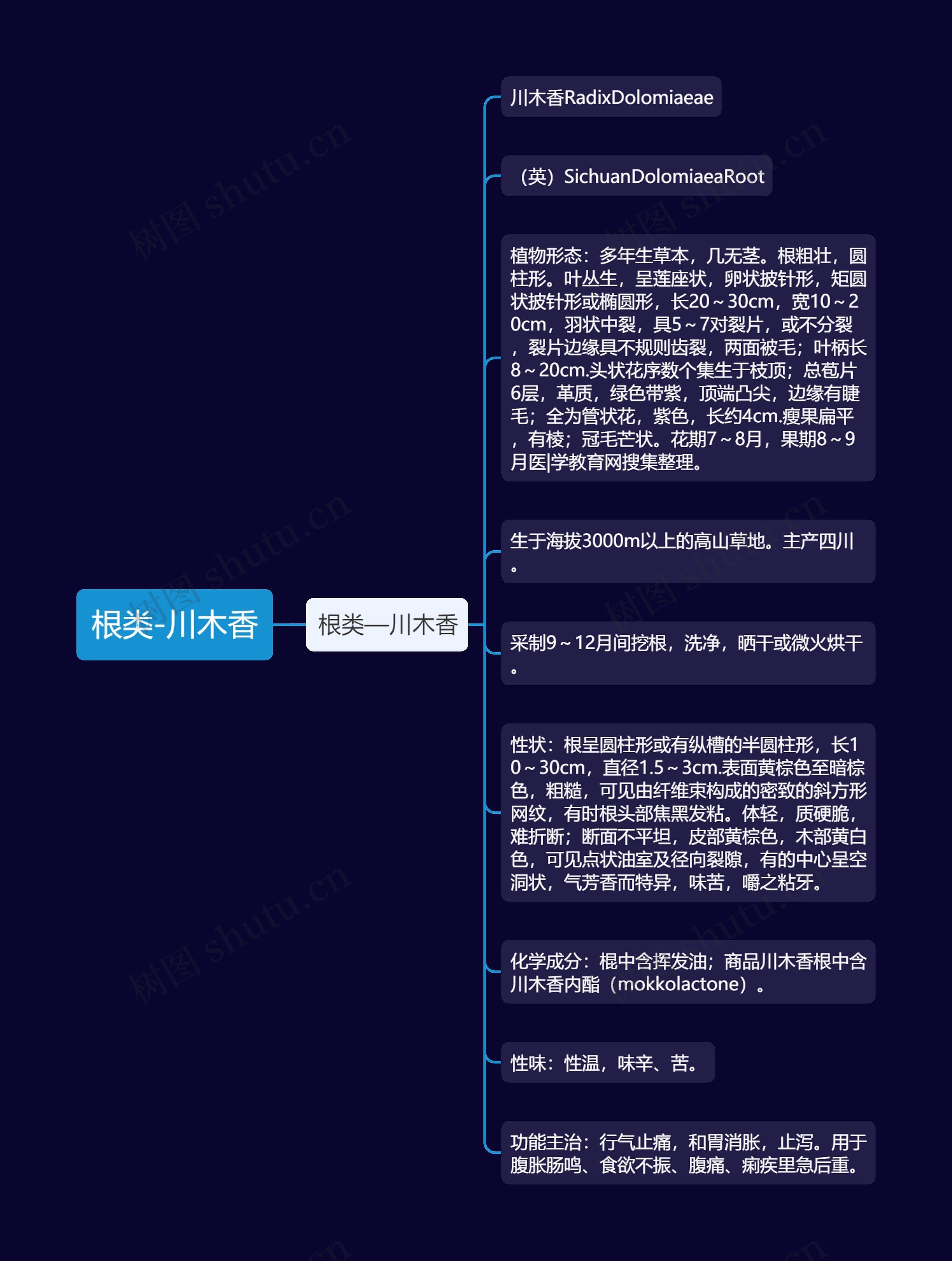 根类-川木香 根类-川木香