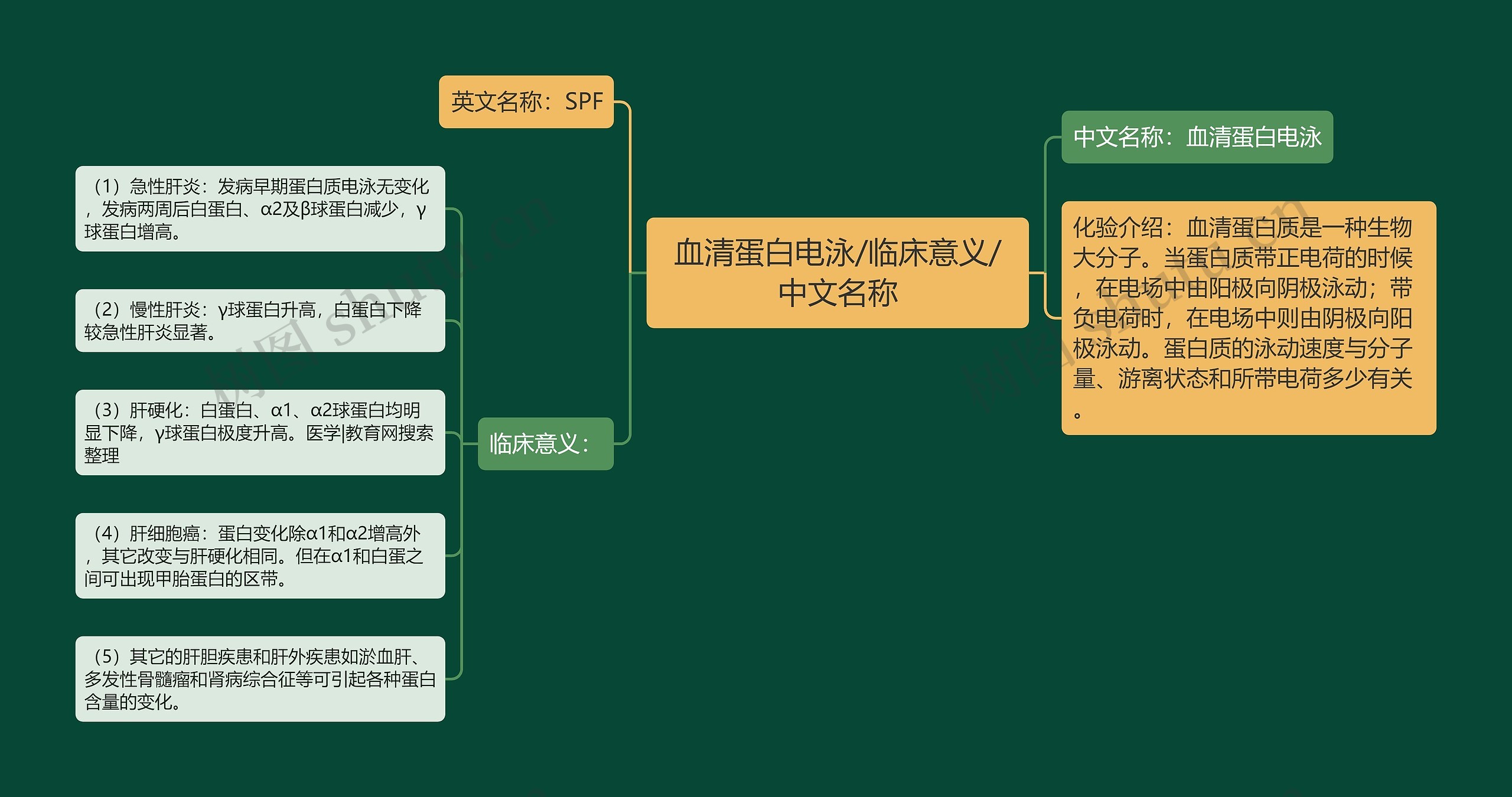 血清蛋白电泳/临床意义/中文名称思维导图