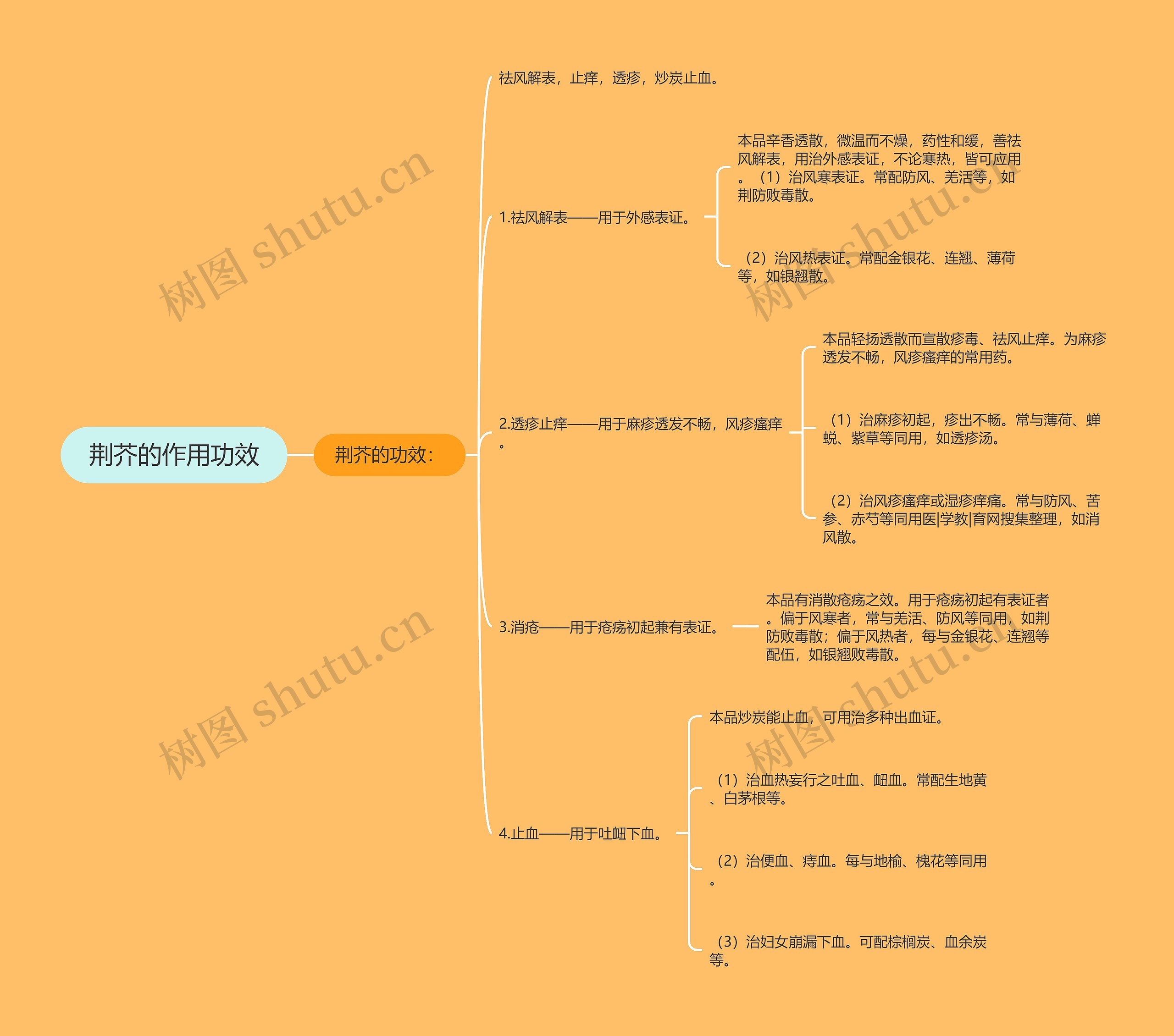 荆芥的作用功效思维导图