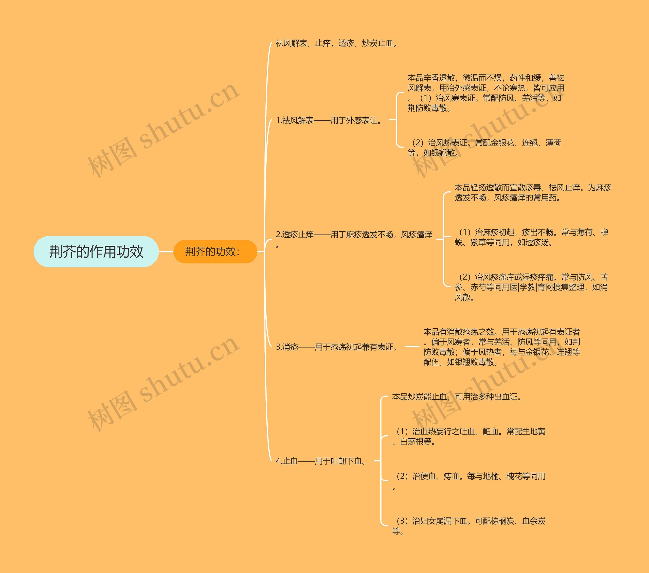 荆芥的作用功效 荆芥的作用功效