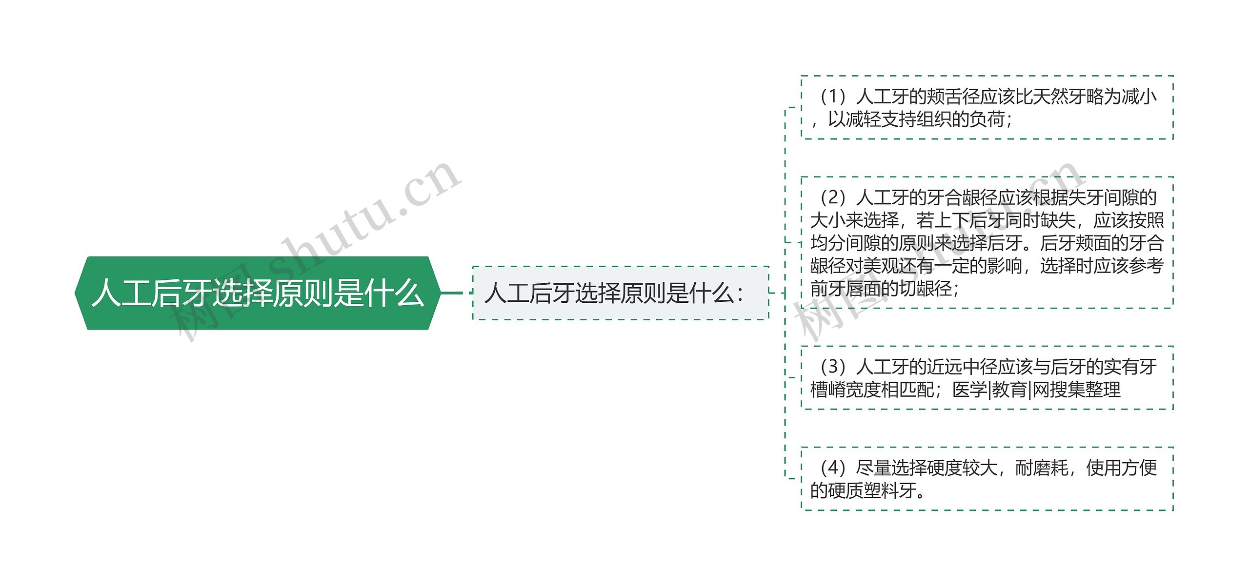 人工后牙选择原则是什么