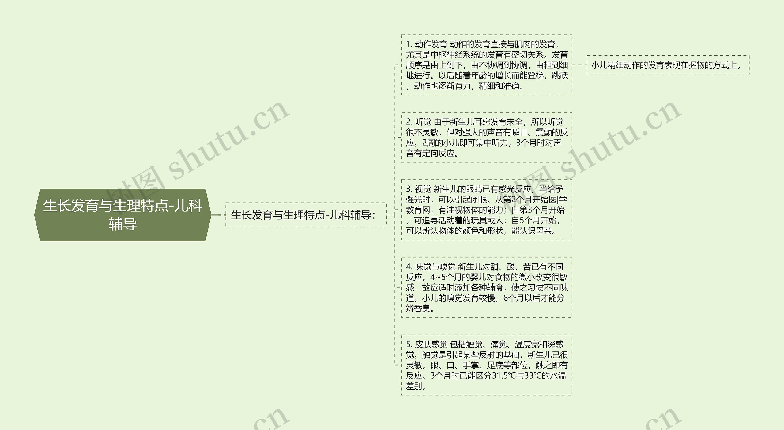 生长发育与生理特点-儿科辅导