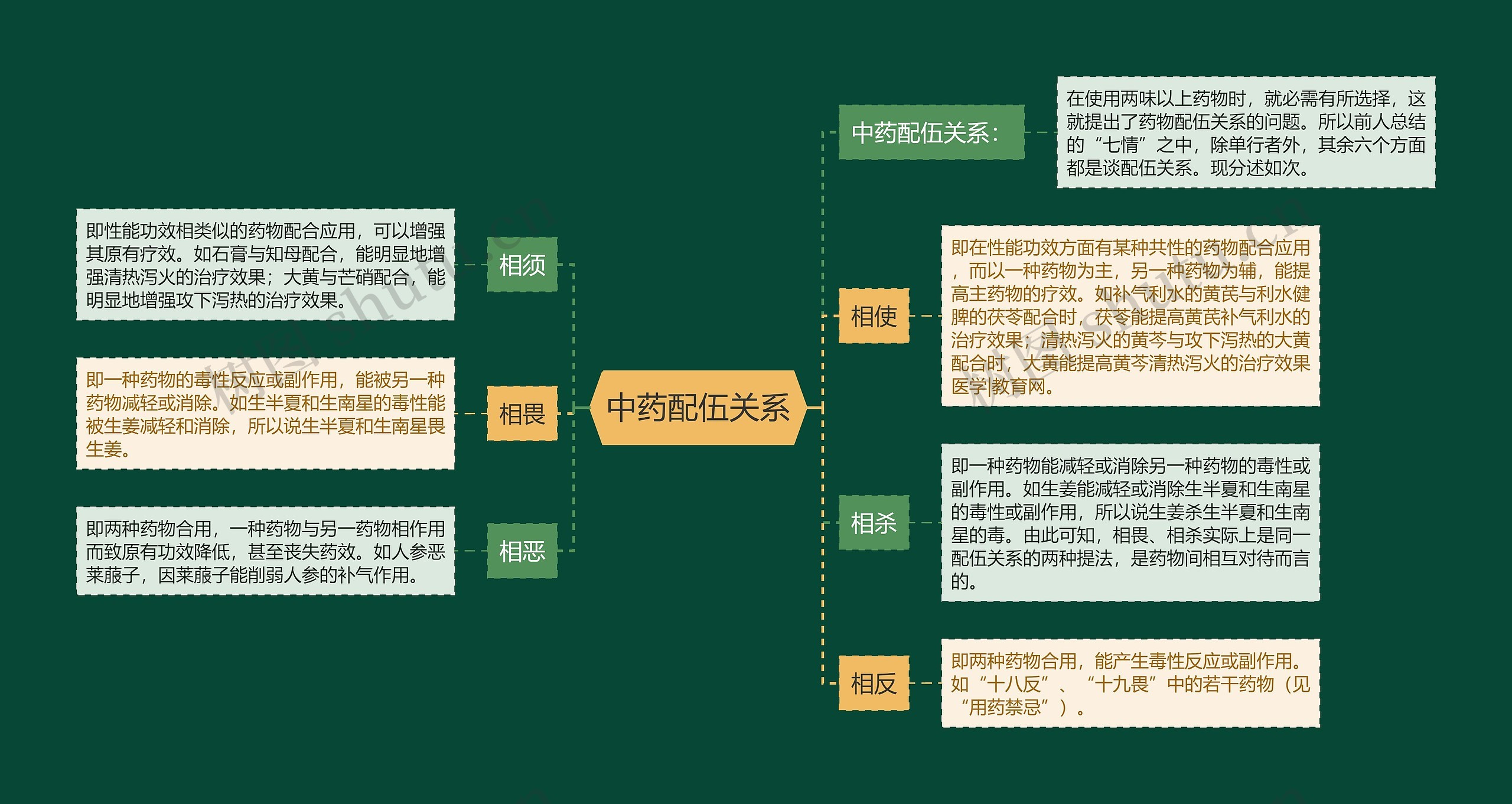 中药配伍关系思维导图