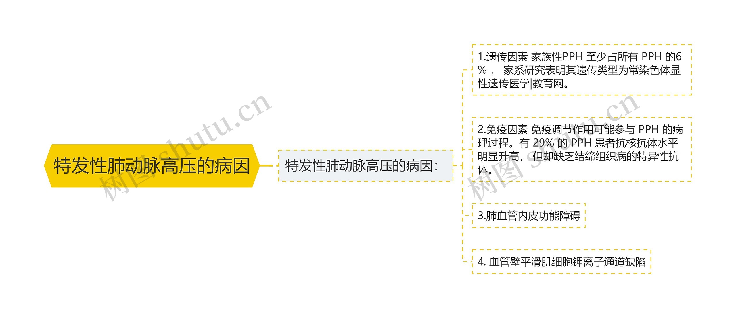 特发性肺动脉高压的病因