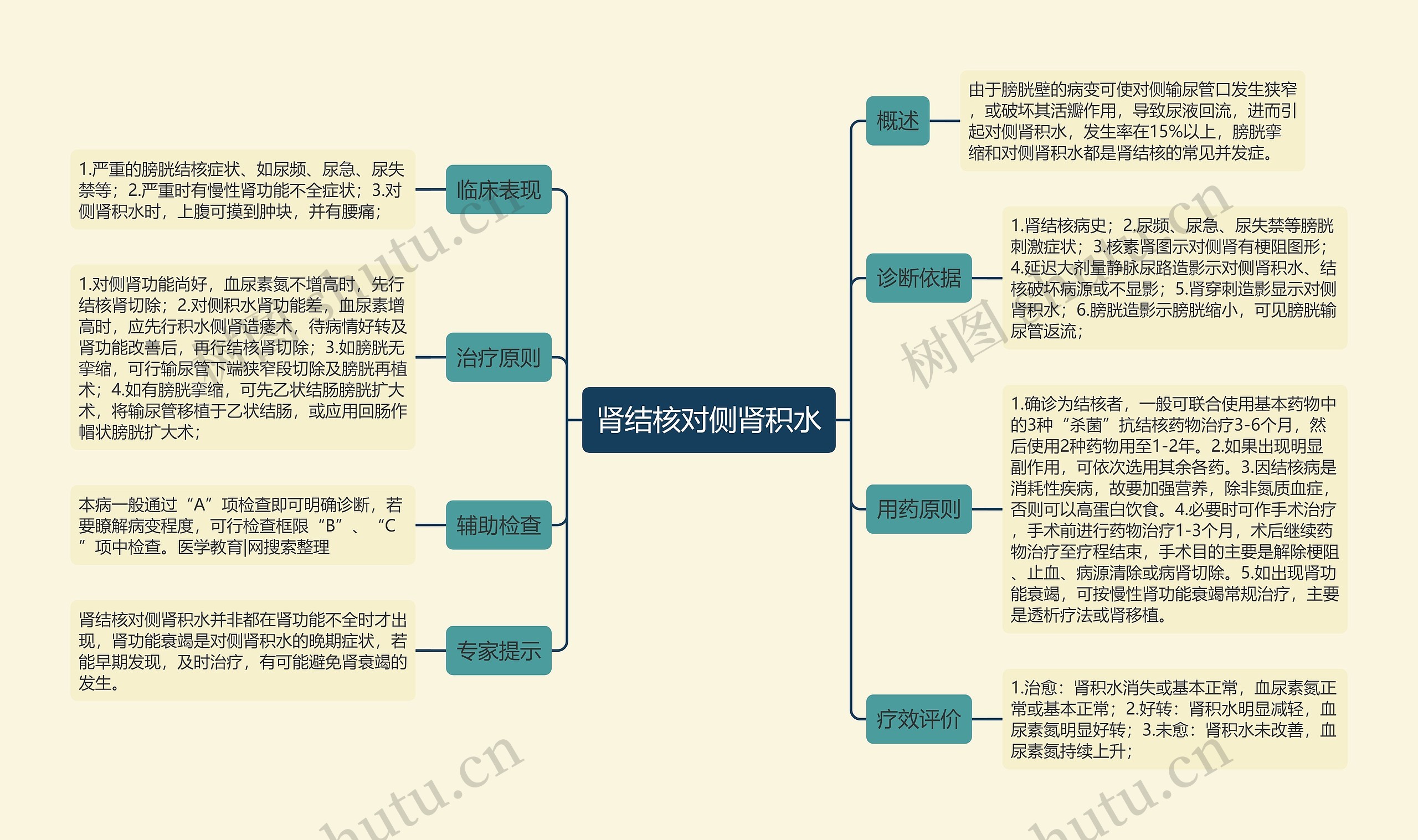 肾结核对侧肾积水思维导图