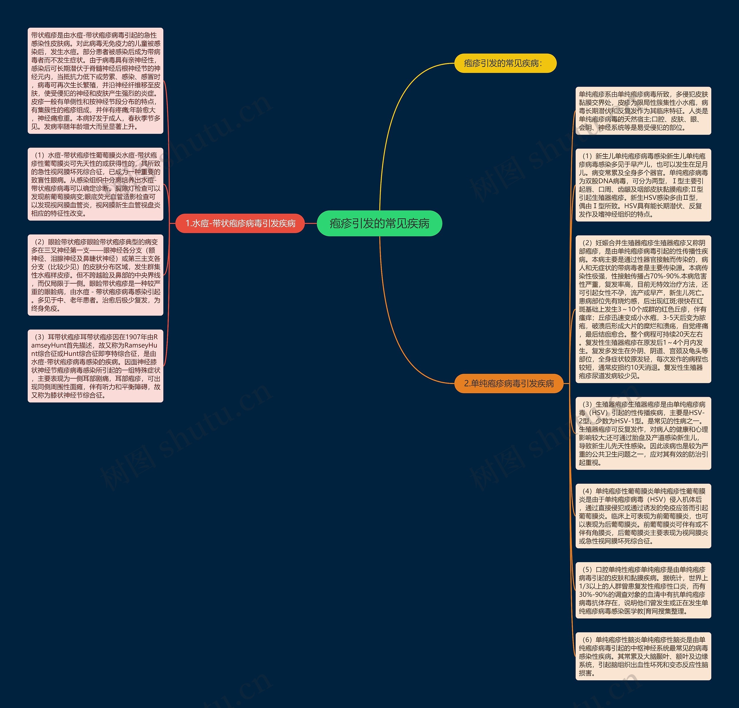 疱疹引发的常见疾病思维导图