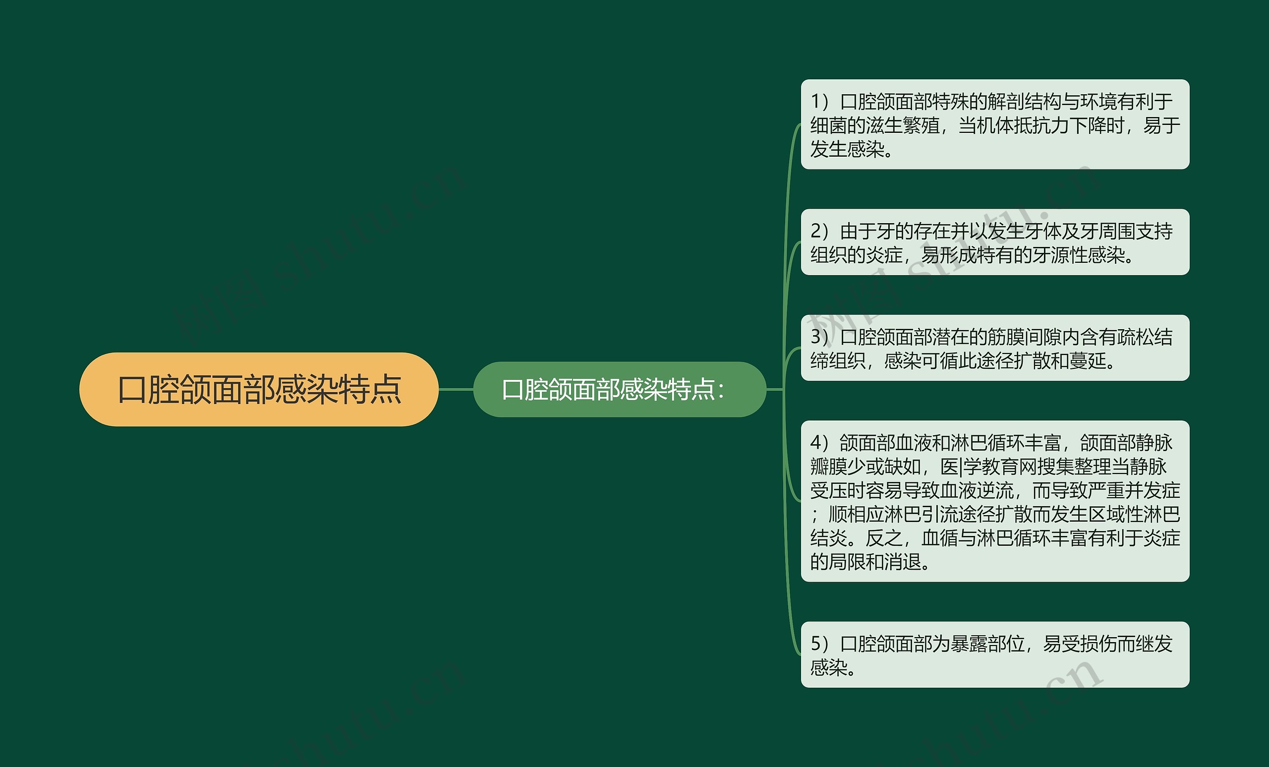 口腔颌面部感染特点思维导图