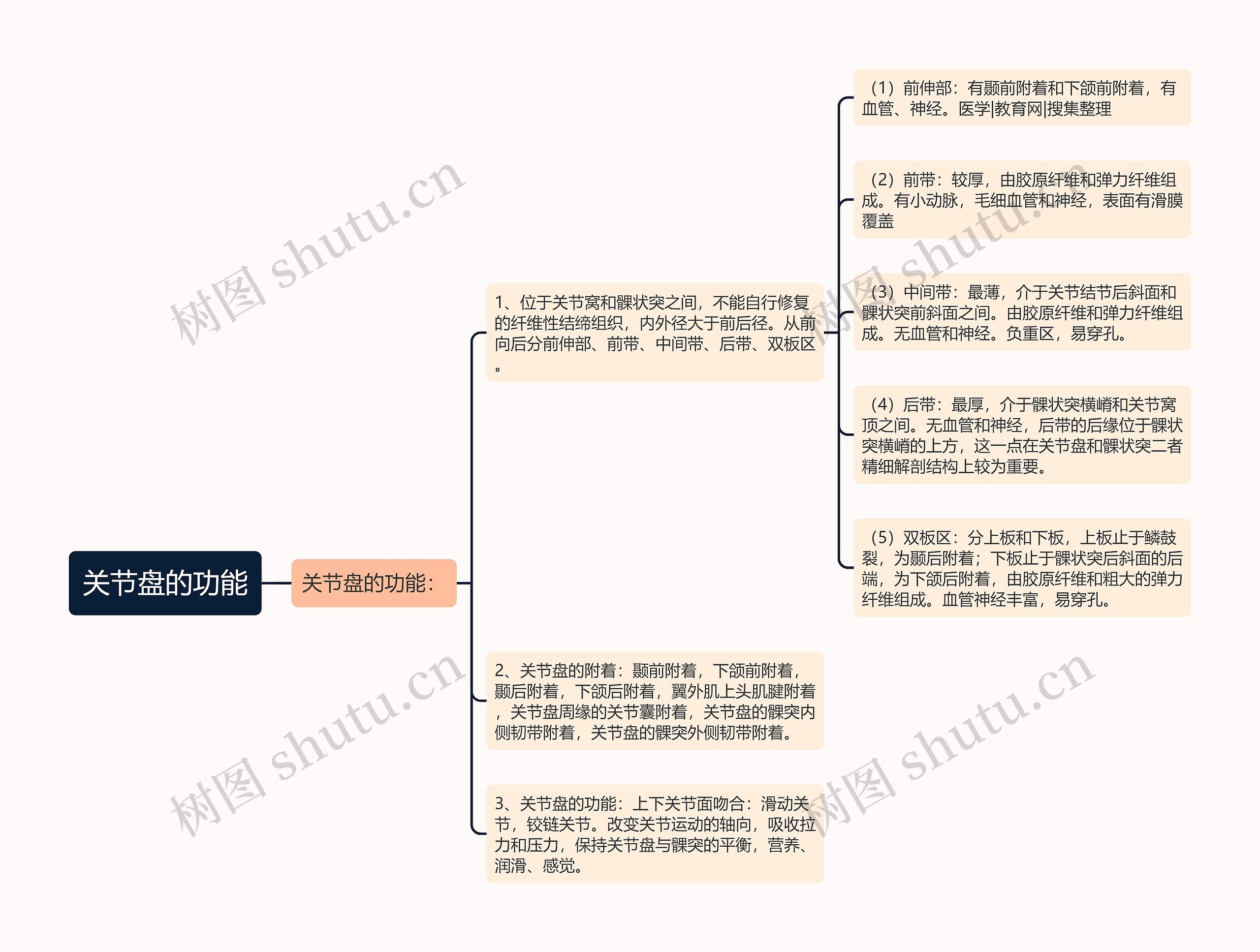 关节盘的功能