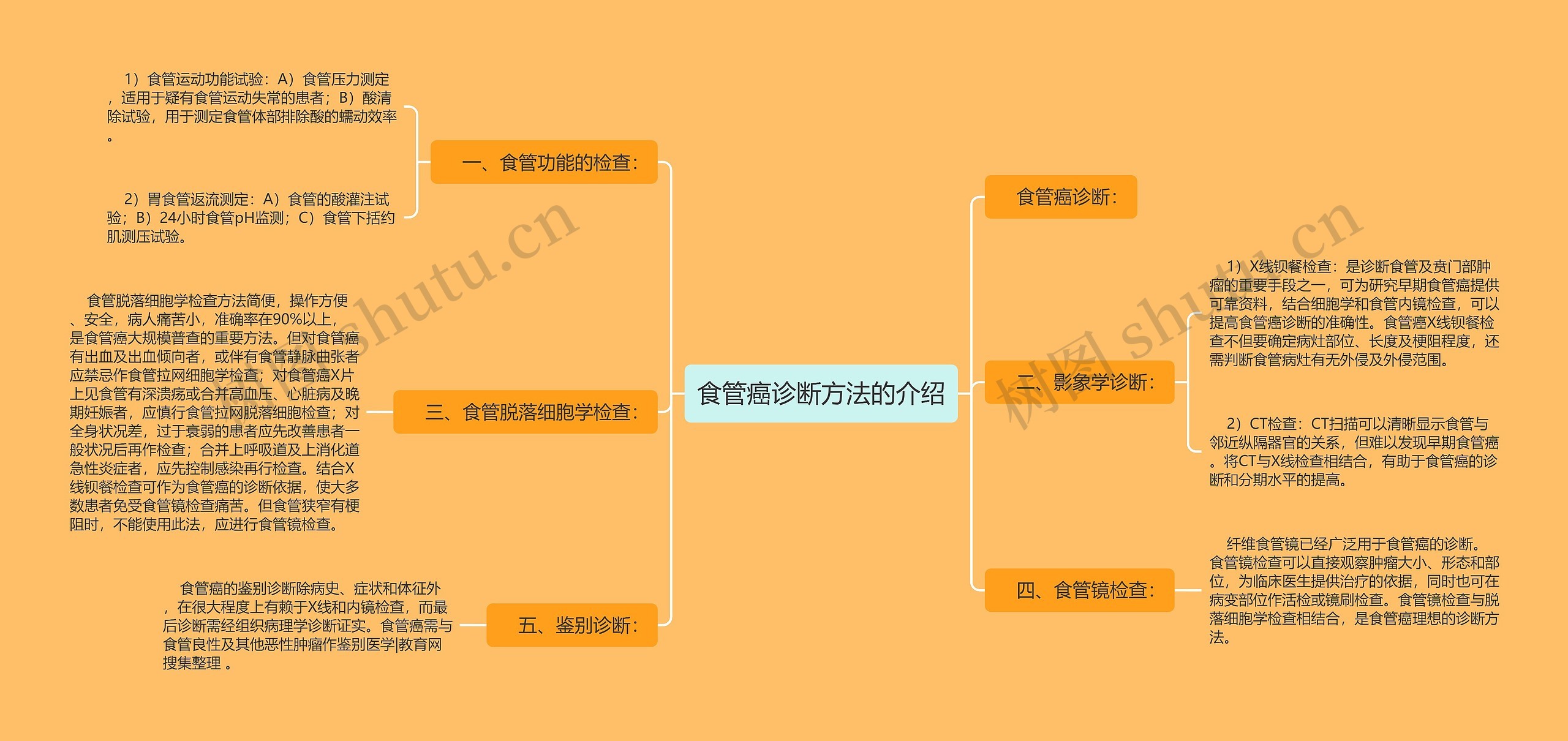 食管癌诊断方法的介绍