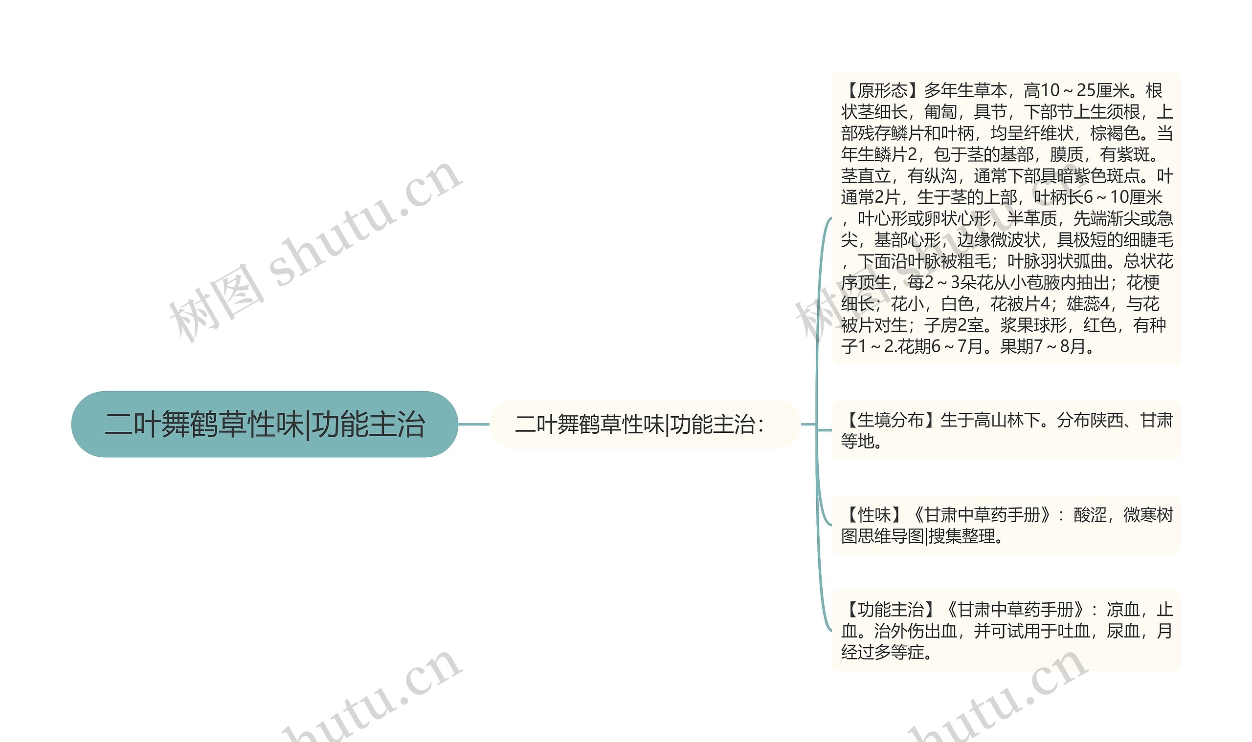 二叶舞鹤草性味|功能主治思维导图