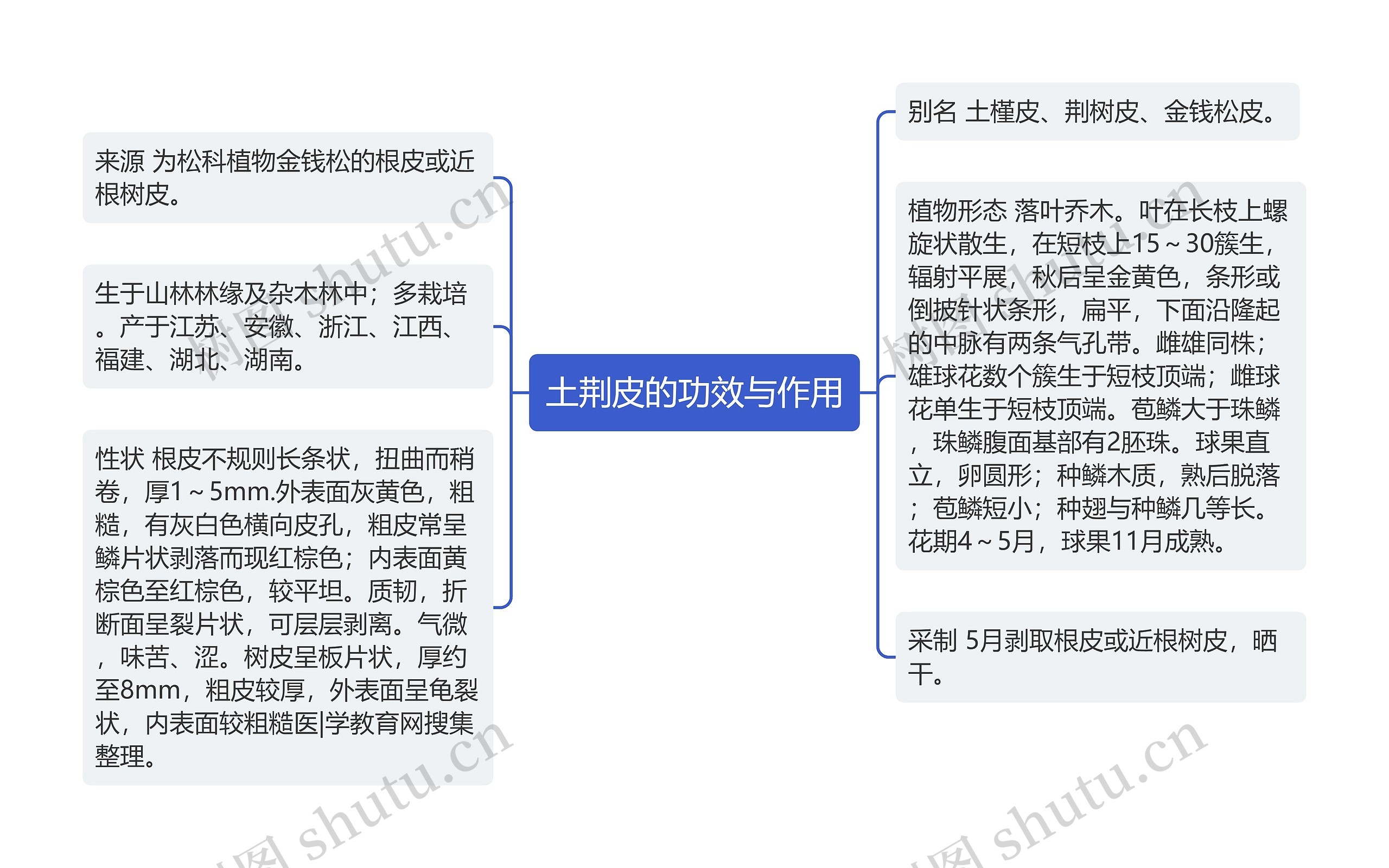 土荆皮的功效与作用思维导图