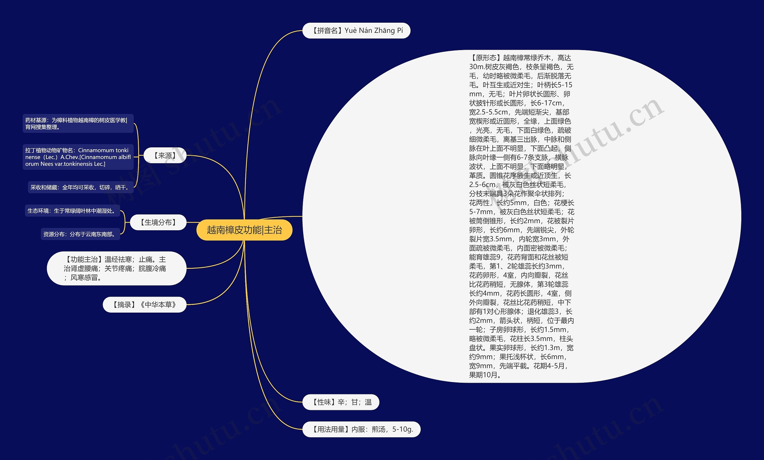 越南樟皮功能|主治 越南樟皮功能|主治