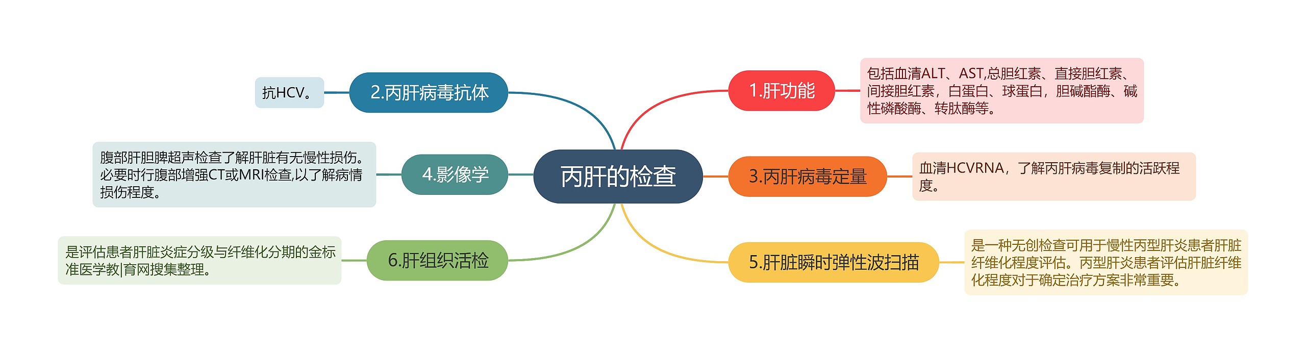 丙肝的检查思维导图