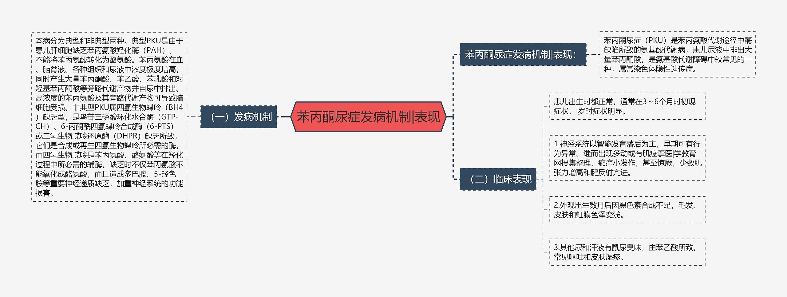 苯丙酮尿症发病机制|表现思维导图