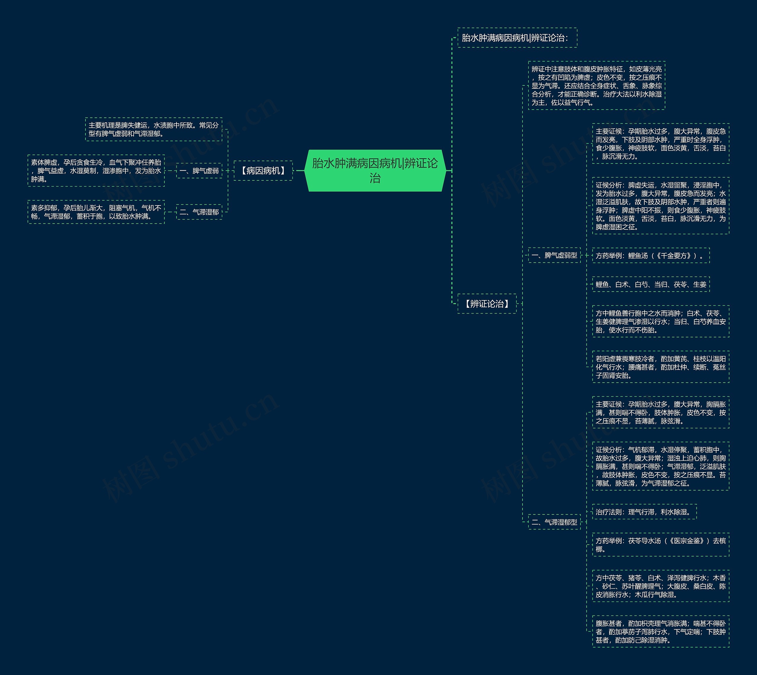 胎水肿满病因病机|辨证论治思维导图