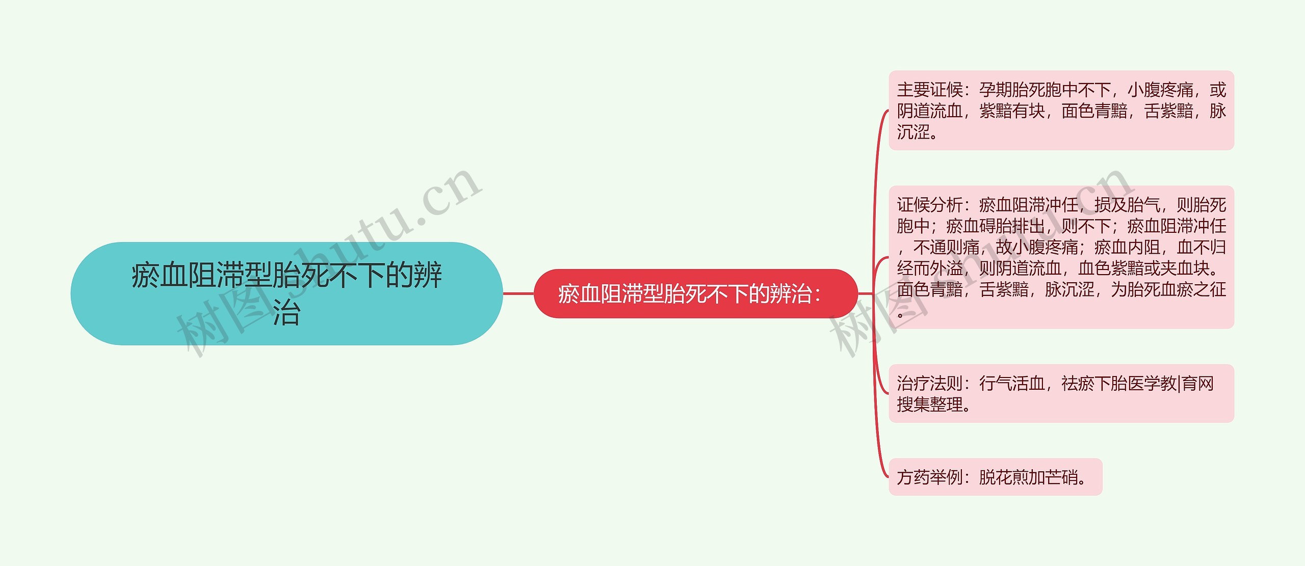 瘀血阻滞型胎死不下的辨治