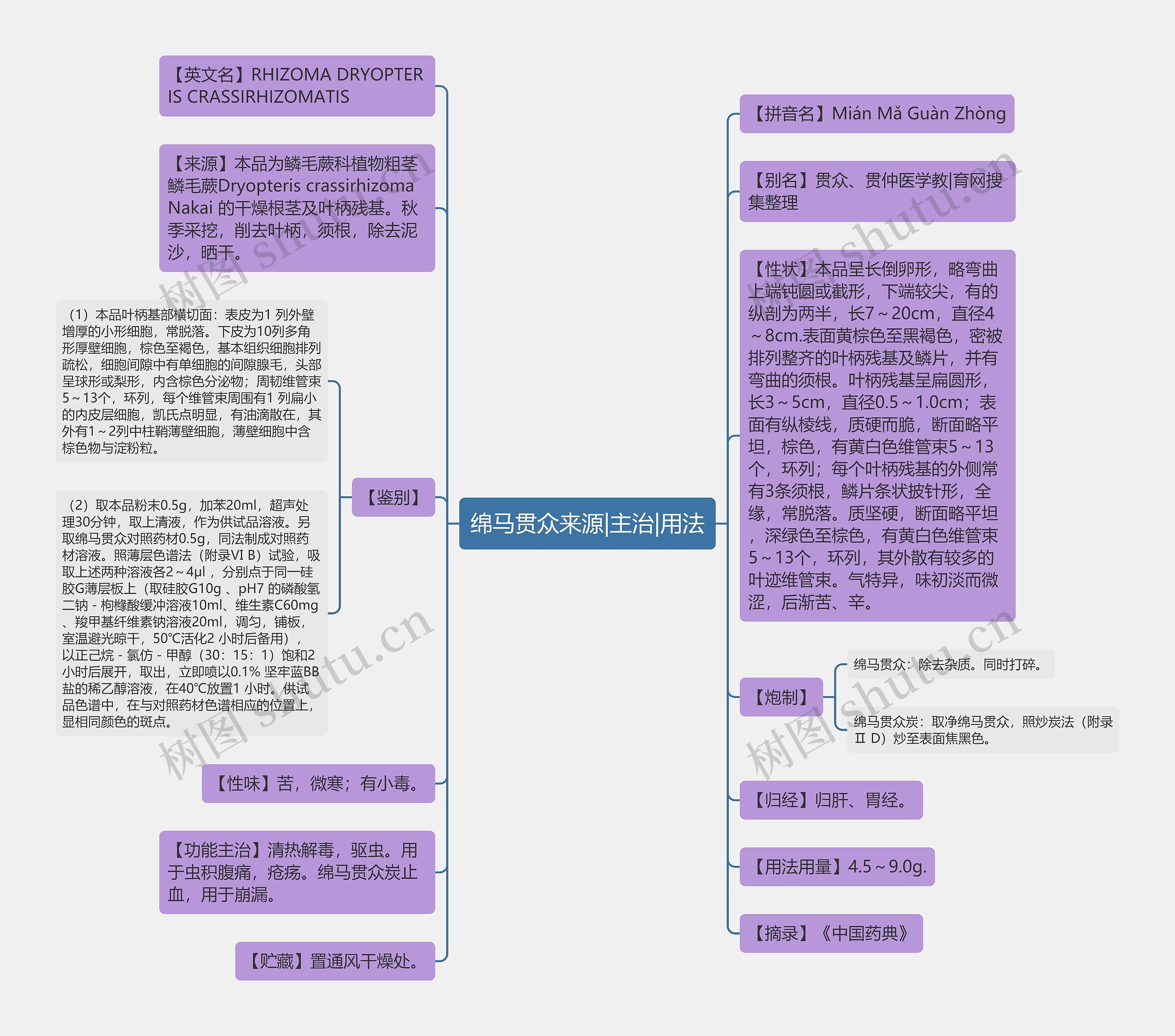 绵马贯众来源|主治|用法思维导图