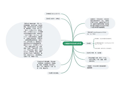 白簕枝叶的功效与作用