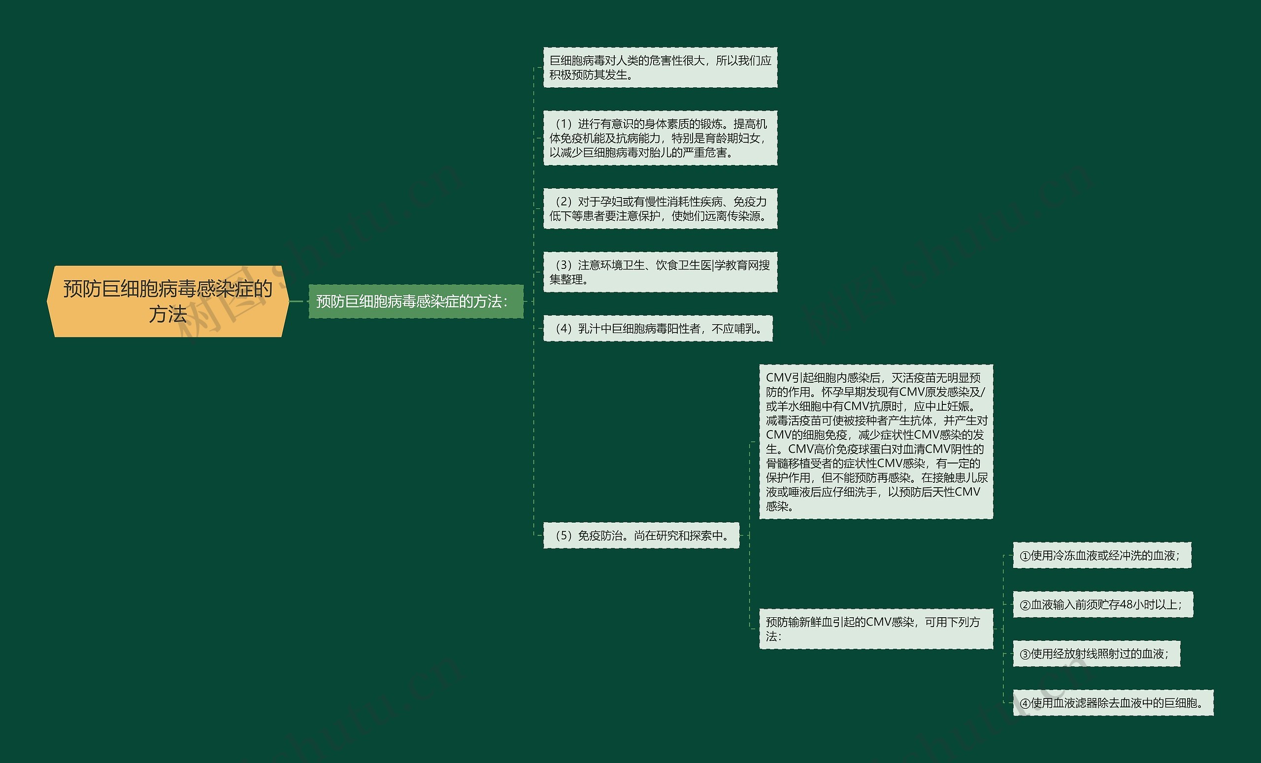 预防巨细胞病毒感染症的方法思维导图