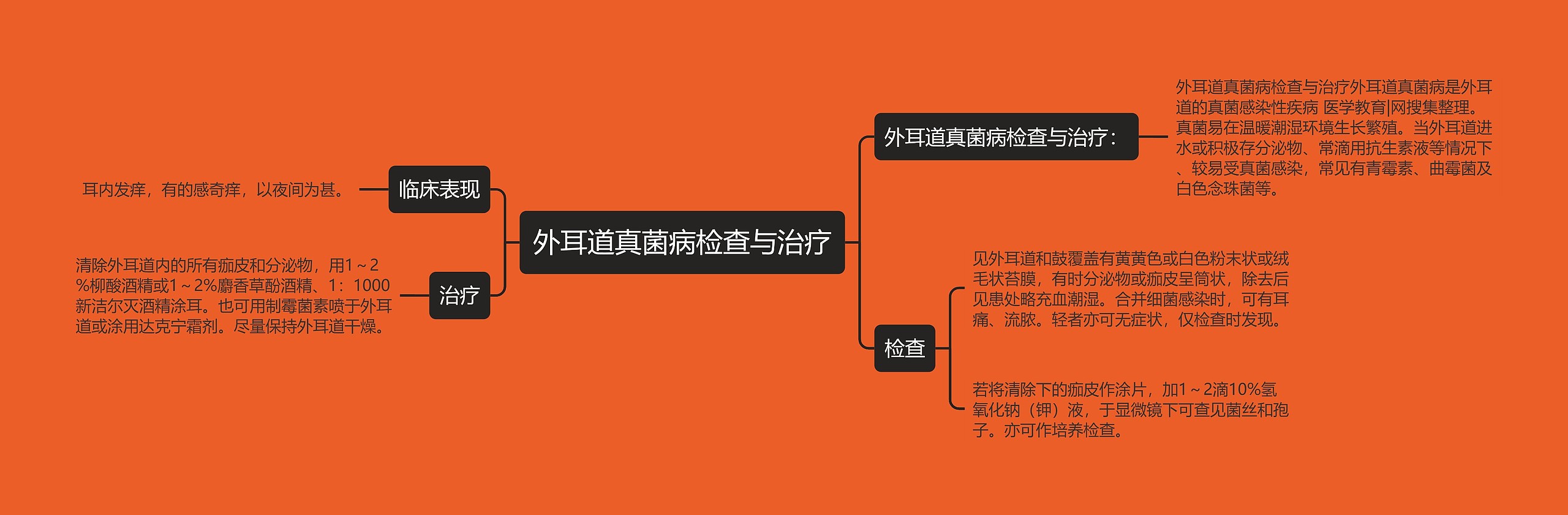 外耳道真菌病检查与治疗