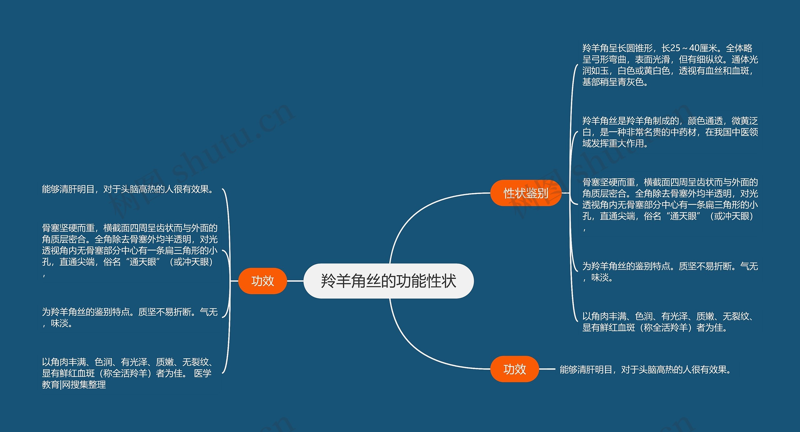 羚羊角丝的功能性状