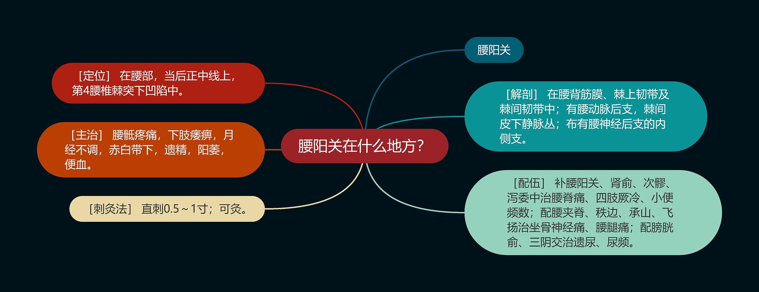 腰阳关在什么地方？思维导图