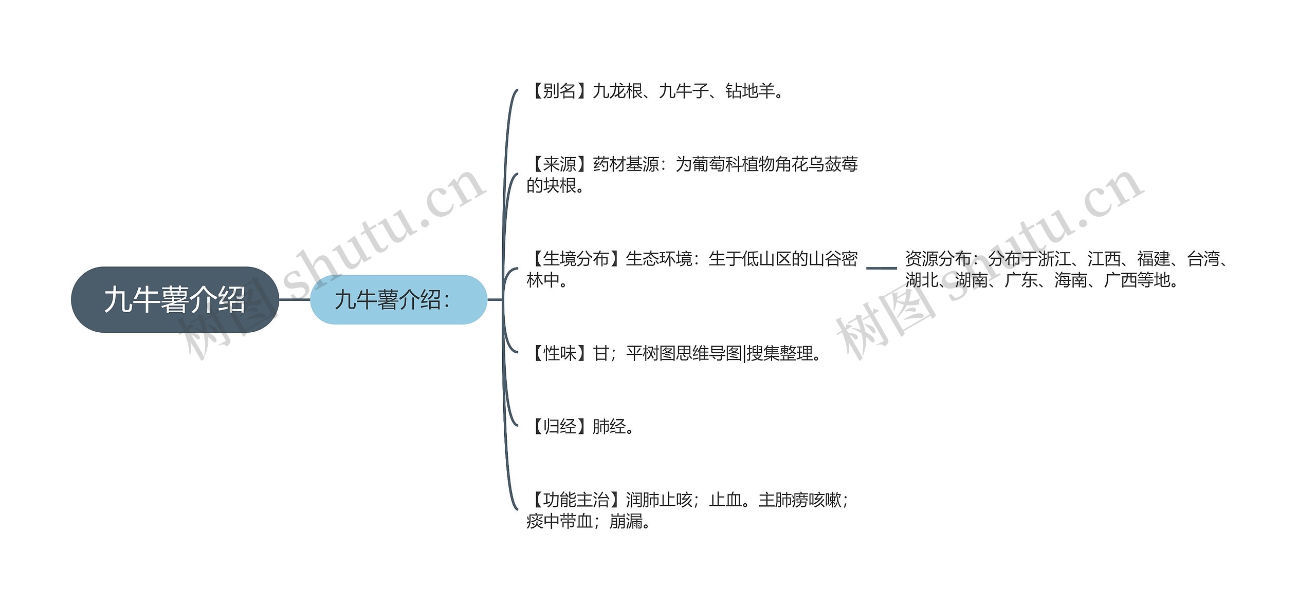 九牛薯介绍