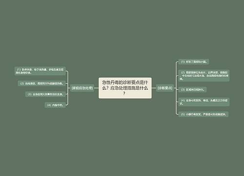 急性丹毒的诊断要点是什么？应急处理措施是什么？