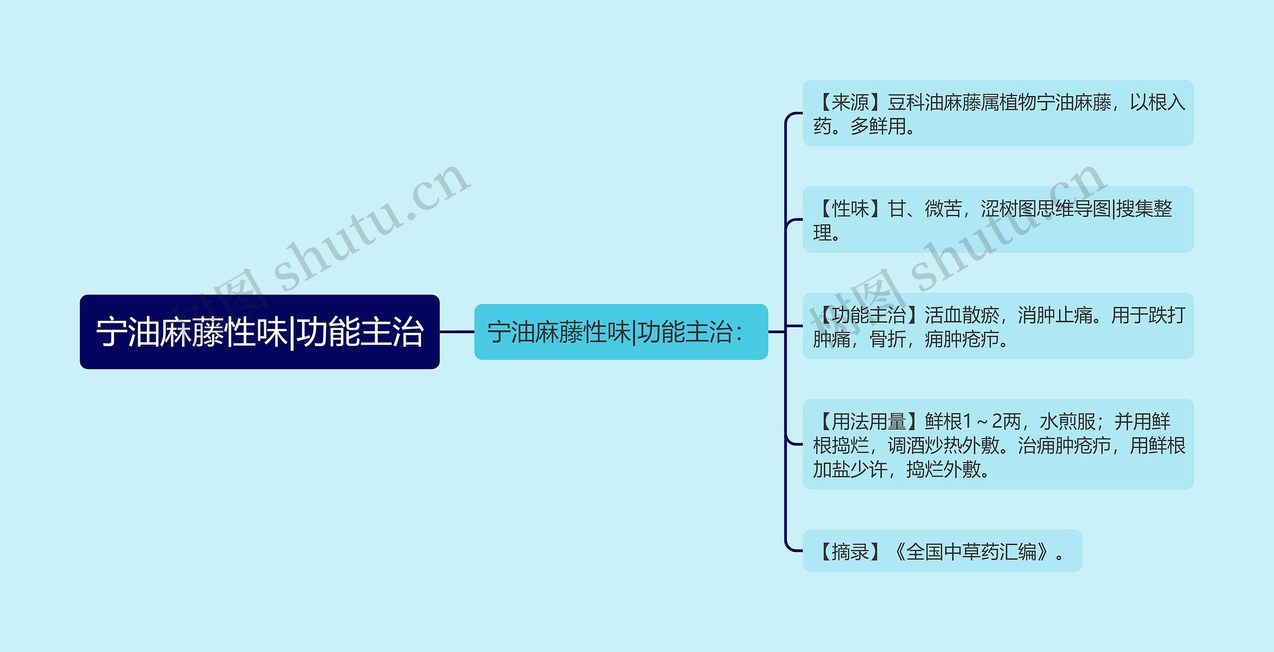 宁油麻藤性味|功能主治思维导图