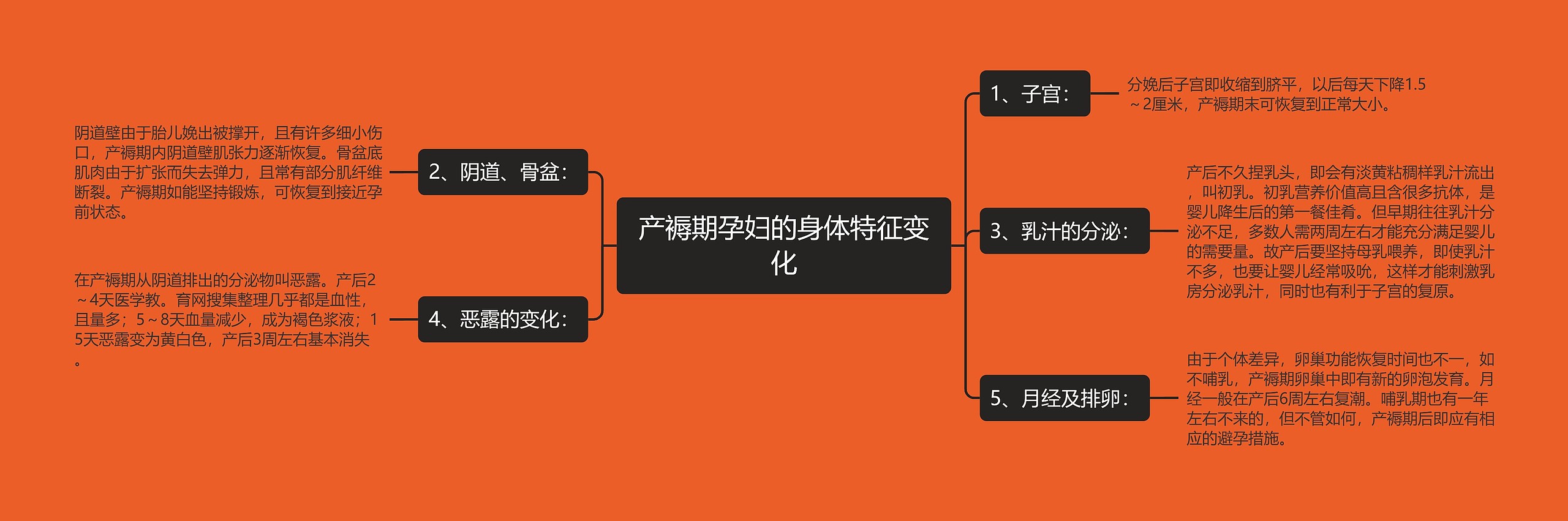 产褥期孕妇的身体特征变化 产褥期孕妇的身体特征变化