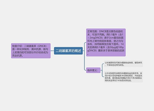 二硝基氯苯的概述