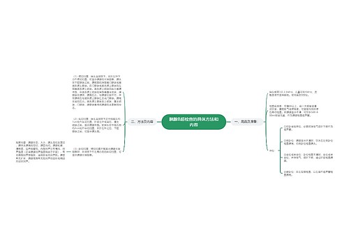 胰腺B超检查的具体方法和内容