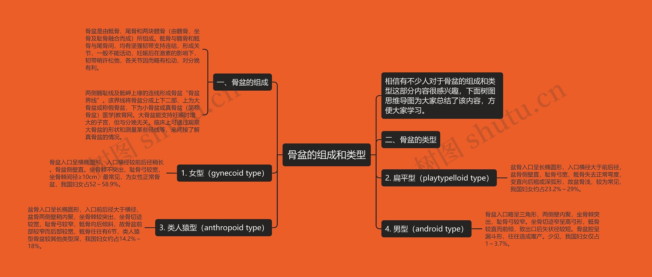 骨盆的组成和类型思维导图