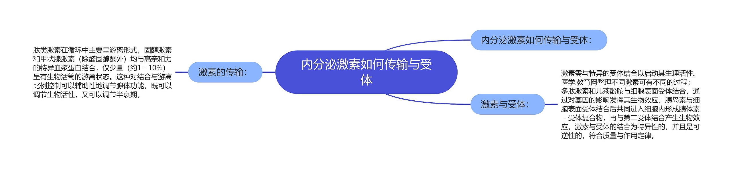 内分泌激素如何传输与受体