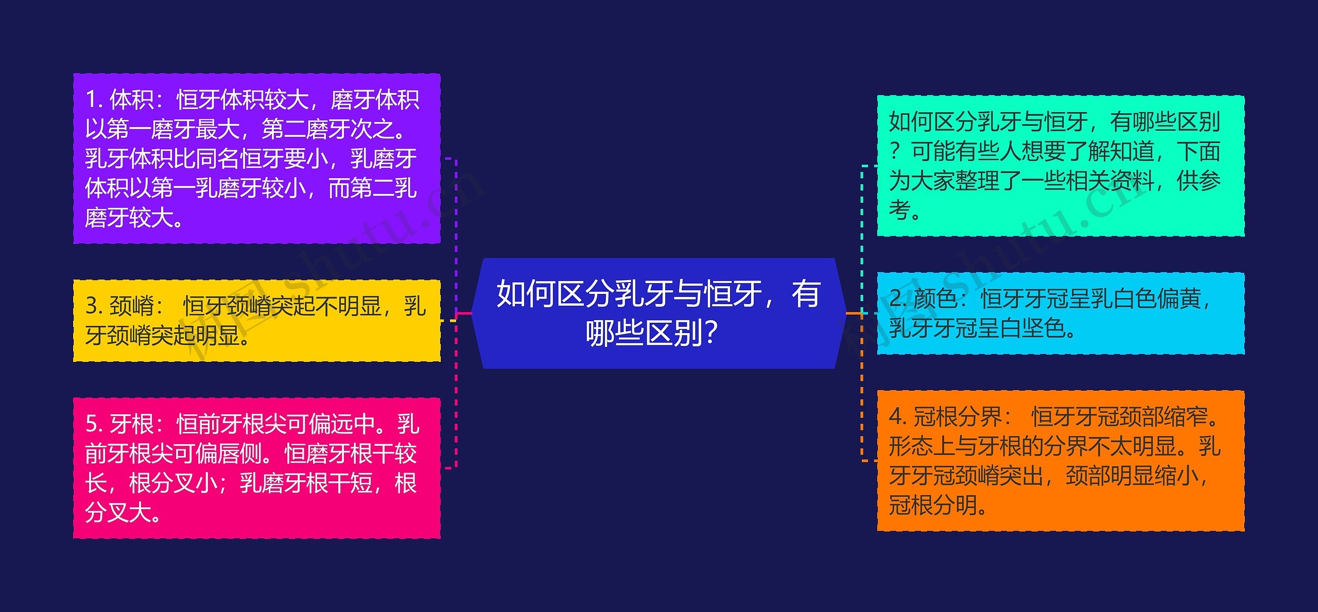 如何区分乳牙与恒牙，有哪些区别？思维导图