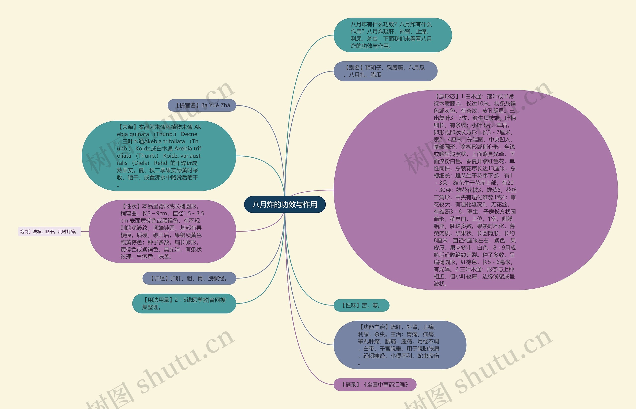 八月炸的功效与作用思维导图