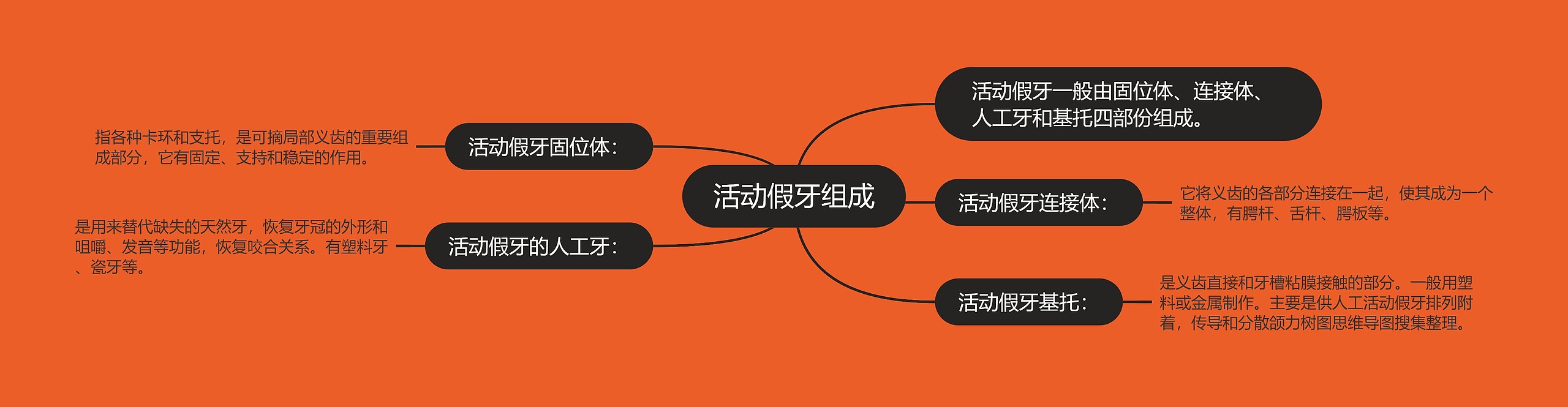 活动假牙组成 活动假牙组成