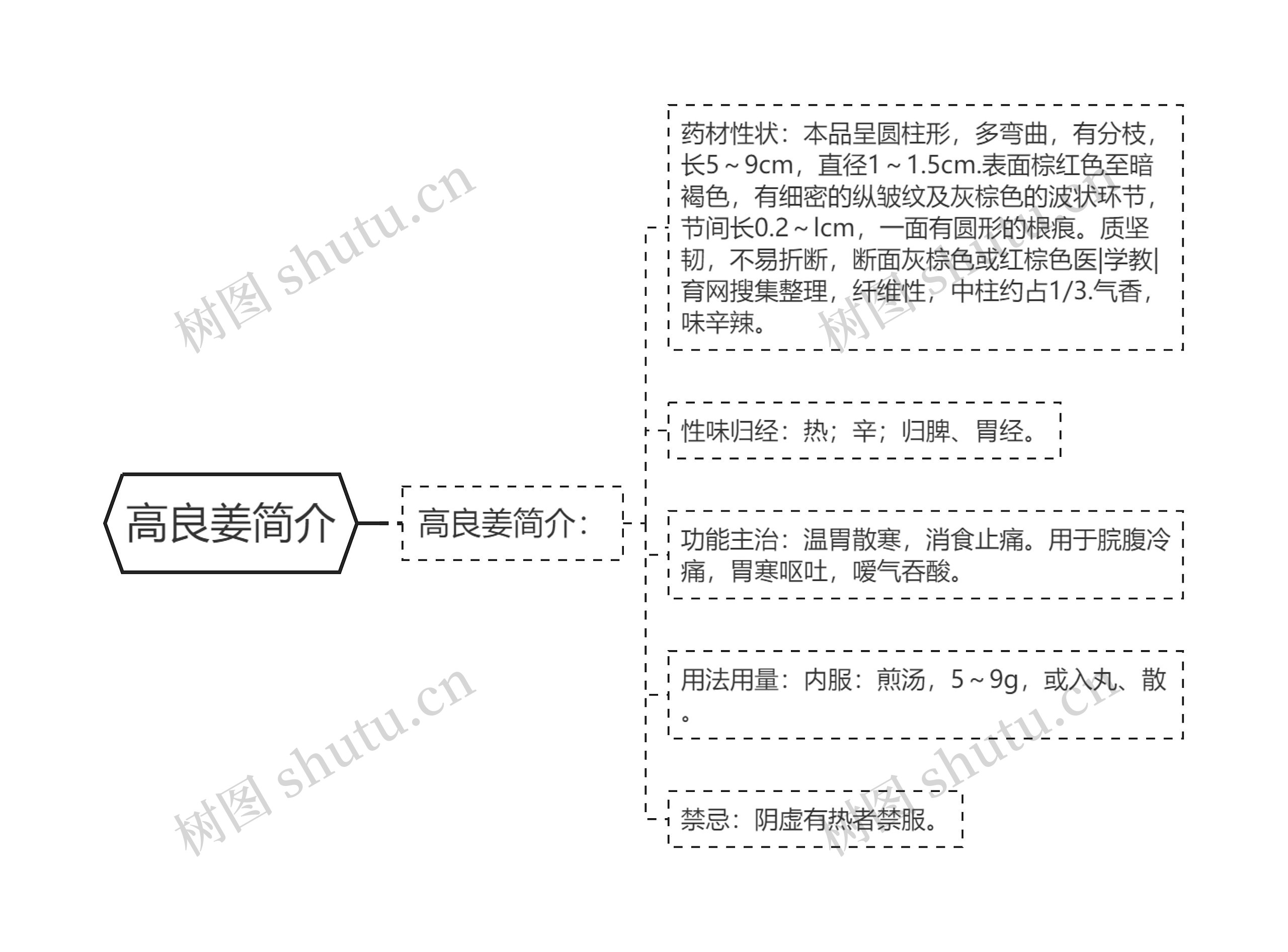 高良姜简介 高良姜简介