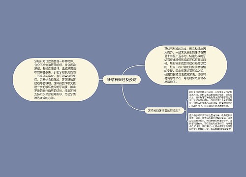 牙结石概述及预防