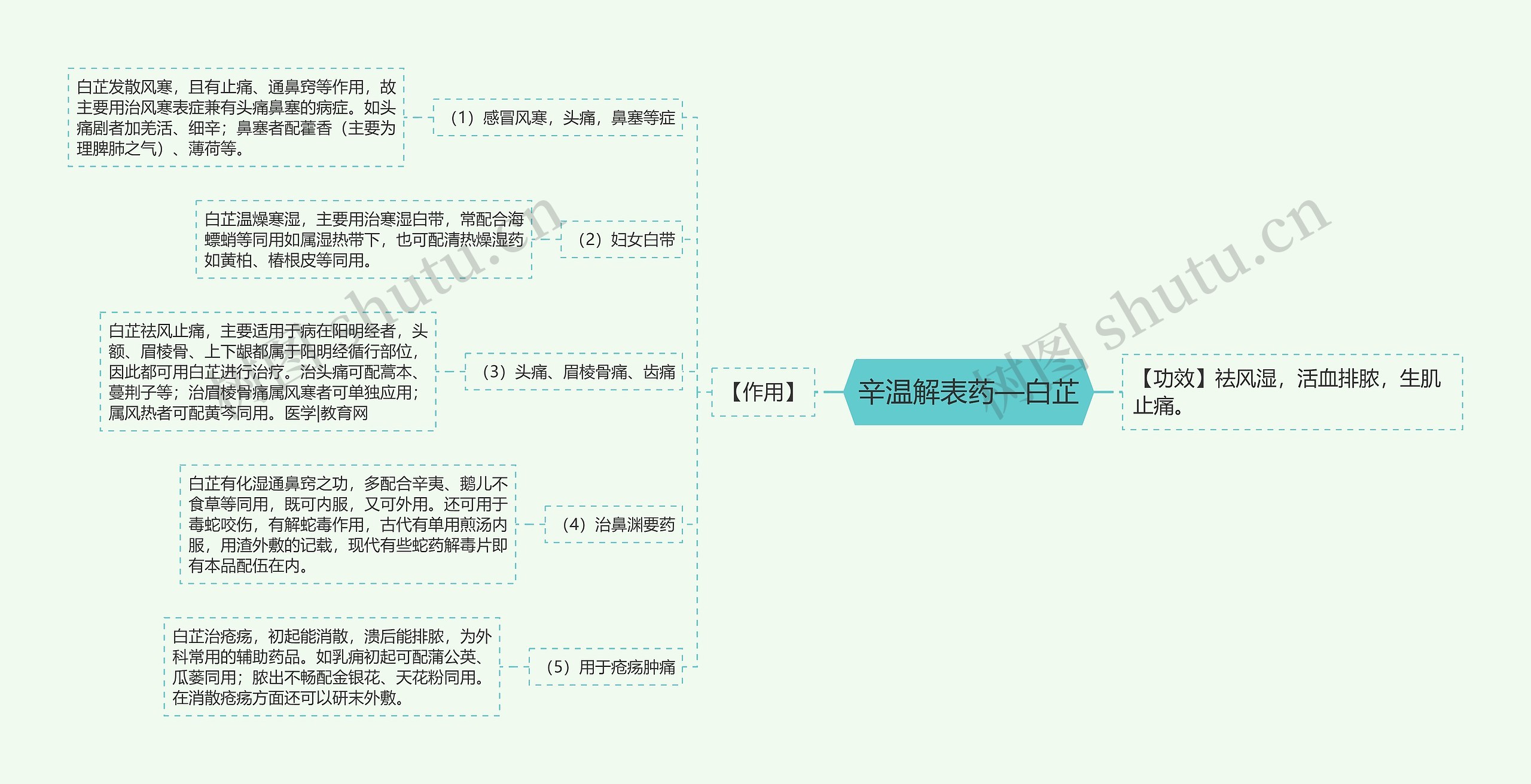 辛温解表药—白芷思维导图