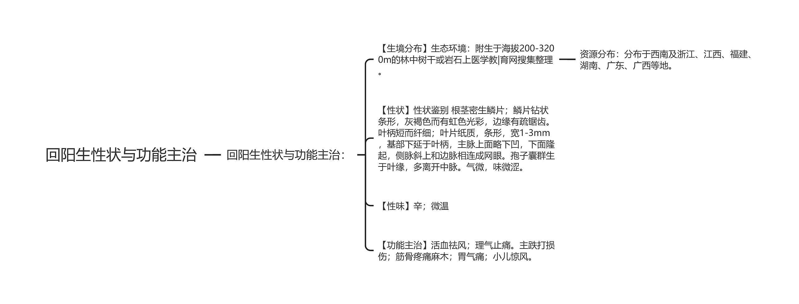 回阳生性状与功能主治