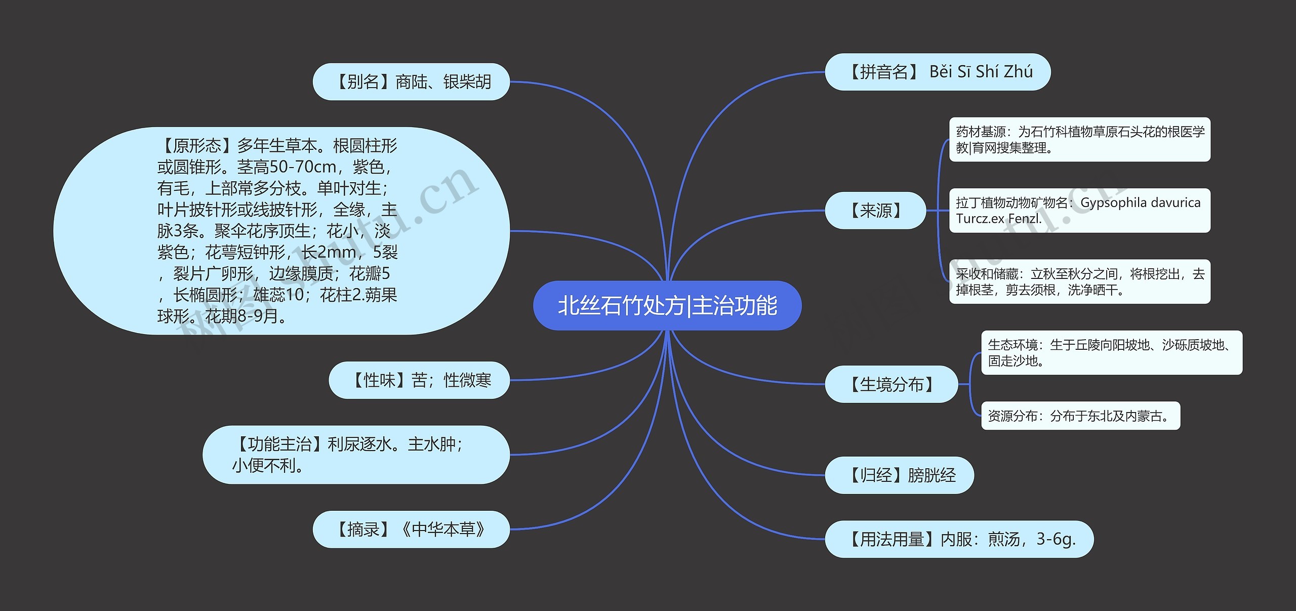 北丝石竹处方|主治功能思维导图